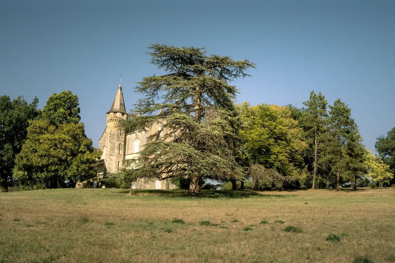 Le Bois du Château