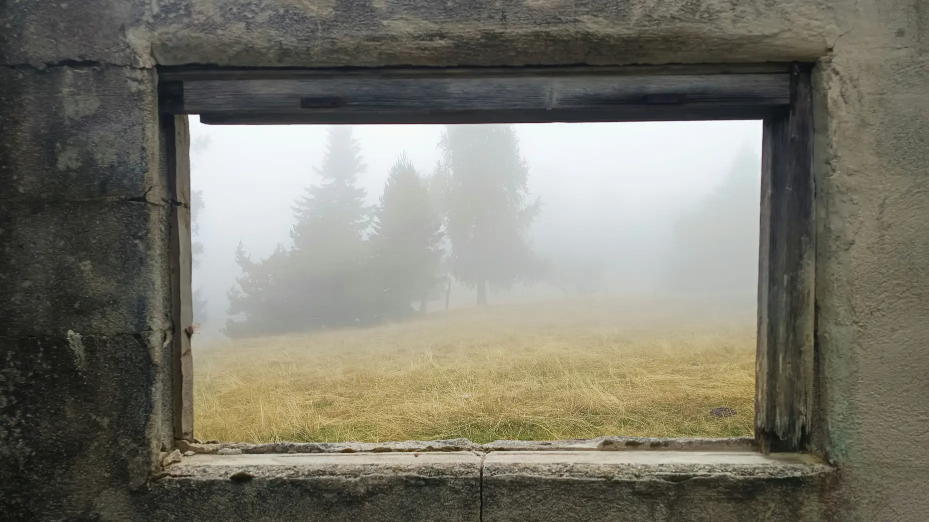 La prairie de Peïra Cava #7
