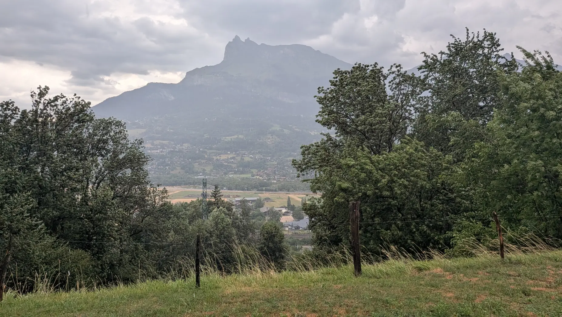 Le Nid des Alpes