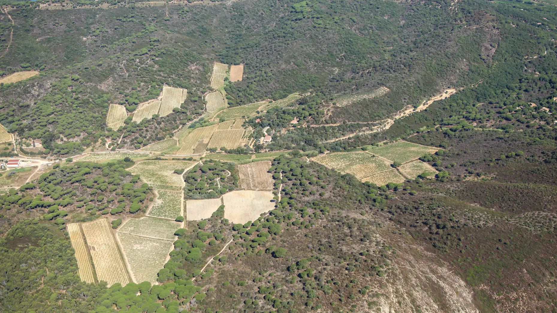 Domaine de la Tourraque #6