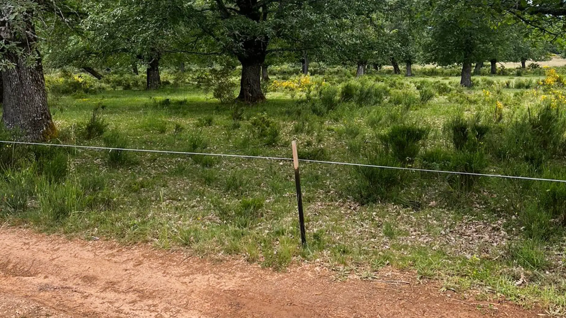 La Majada de Valcuende