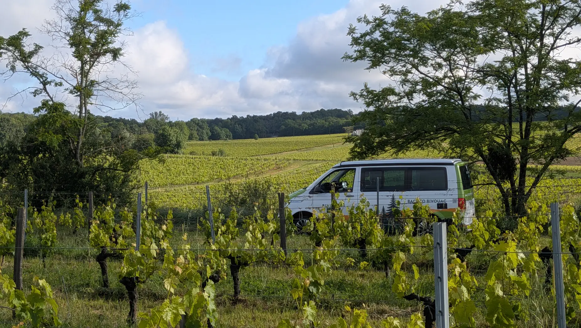 L'Escale vigneronne