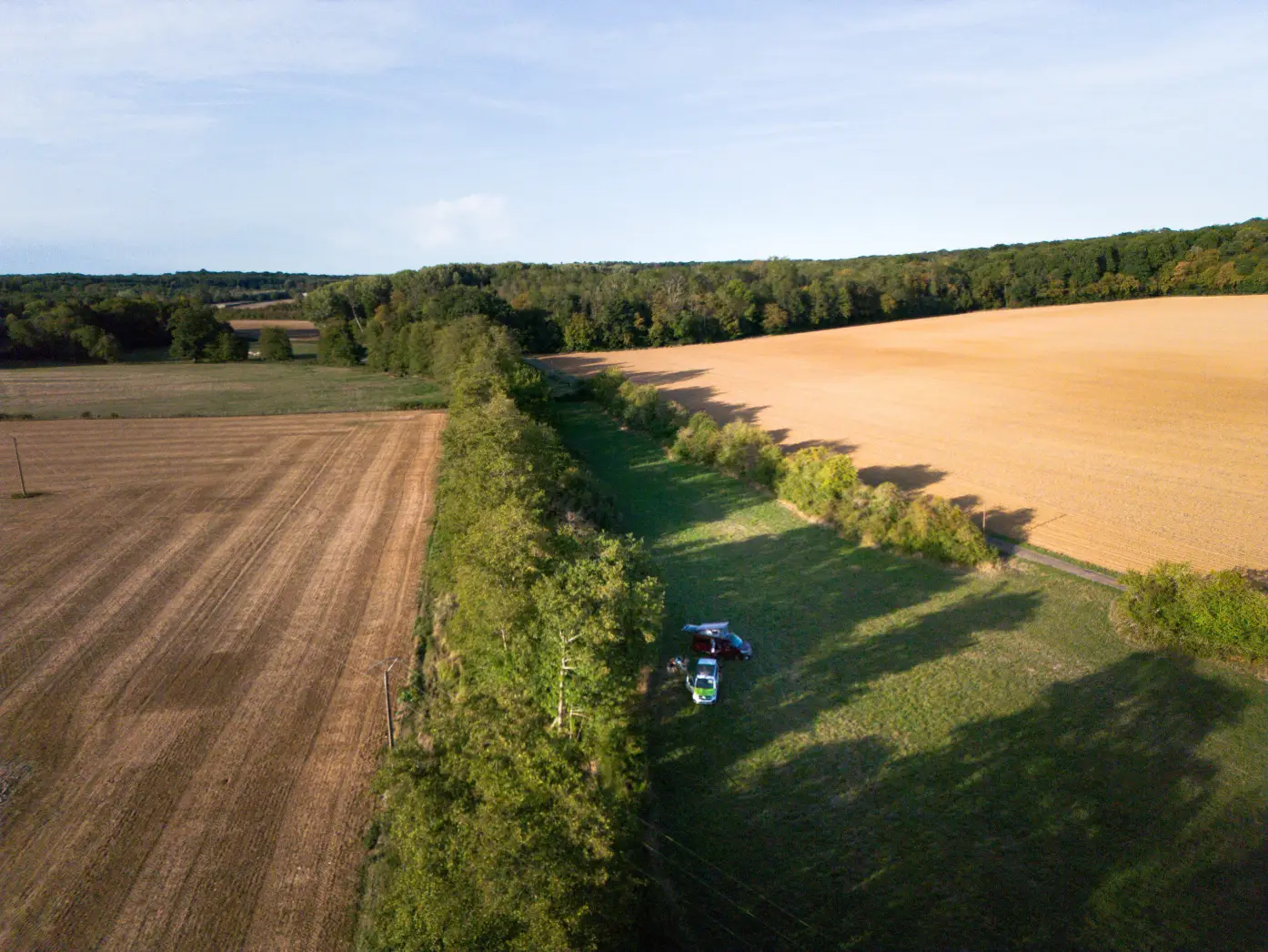 Le pré du domaine #5