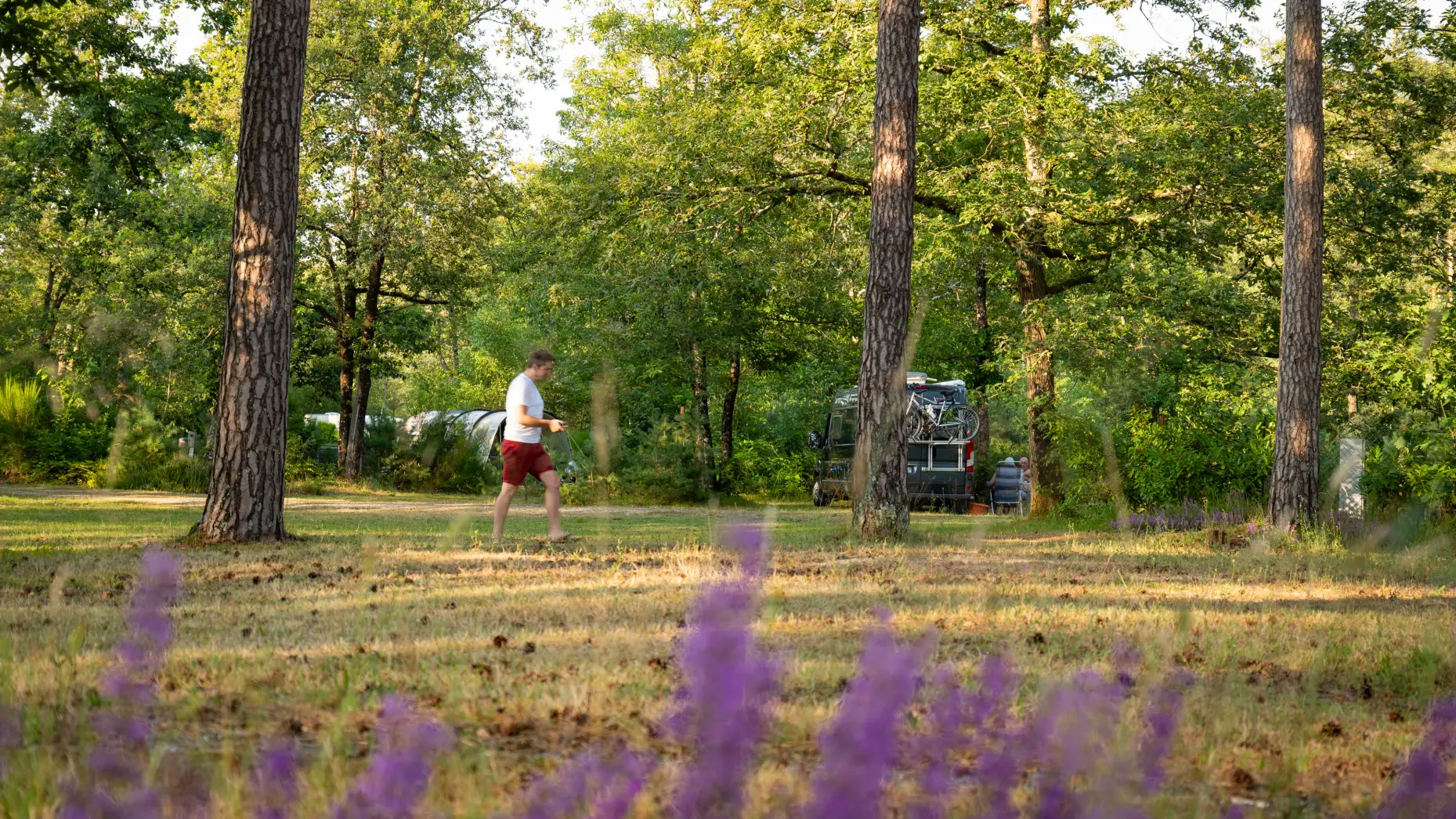 Camping Les Pins #7