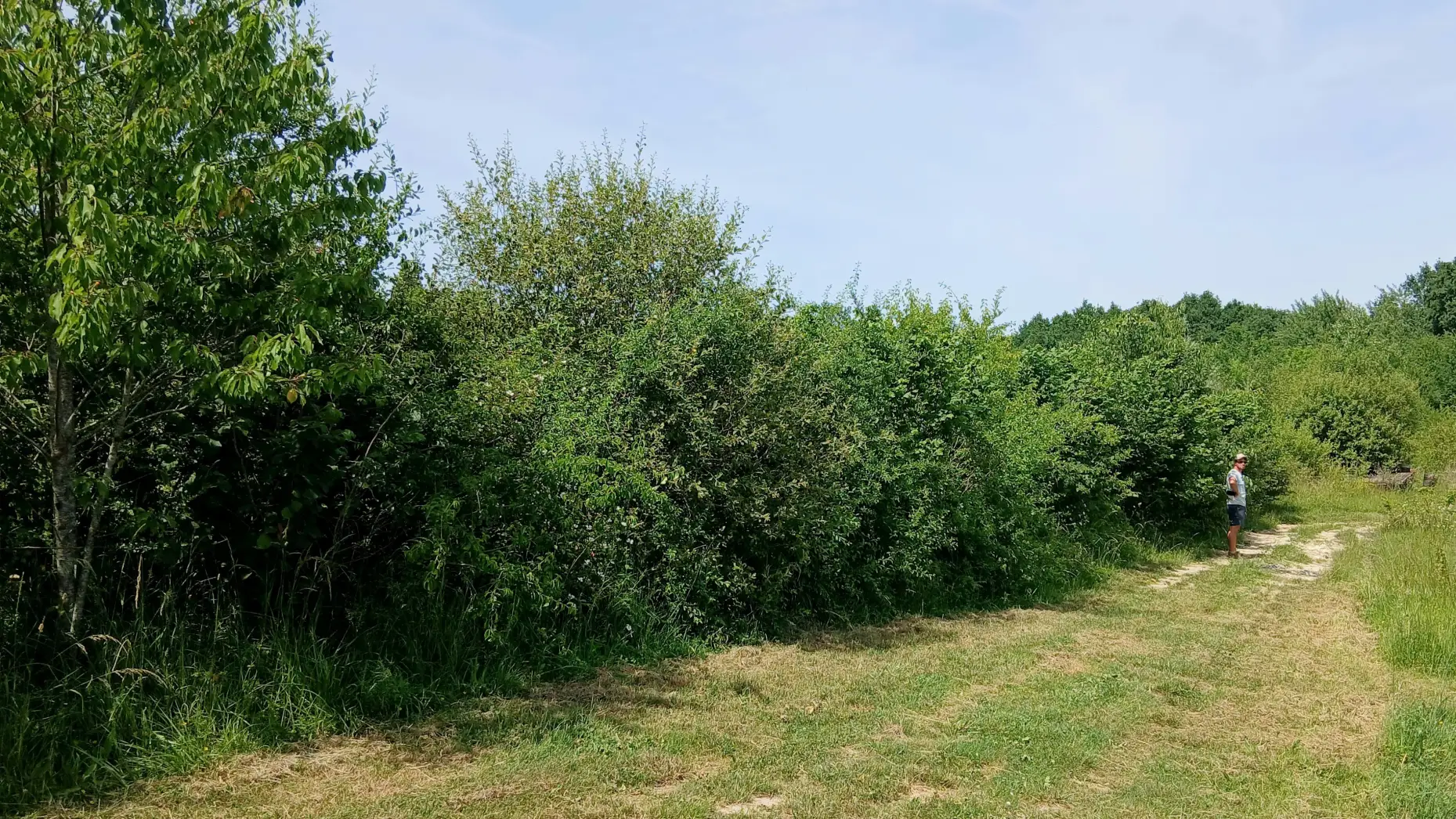 Le Potager de Saint-Martin