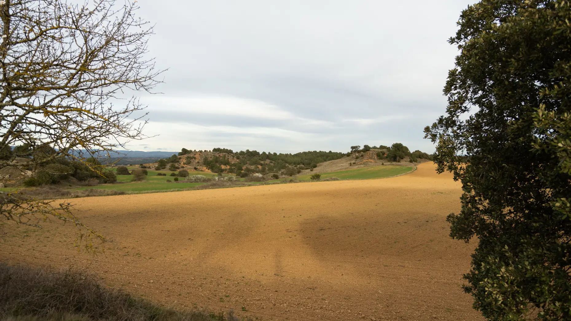 Domaine de Borie Neuve