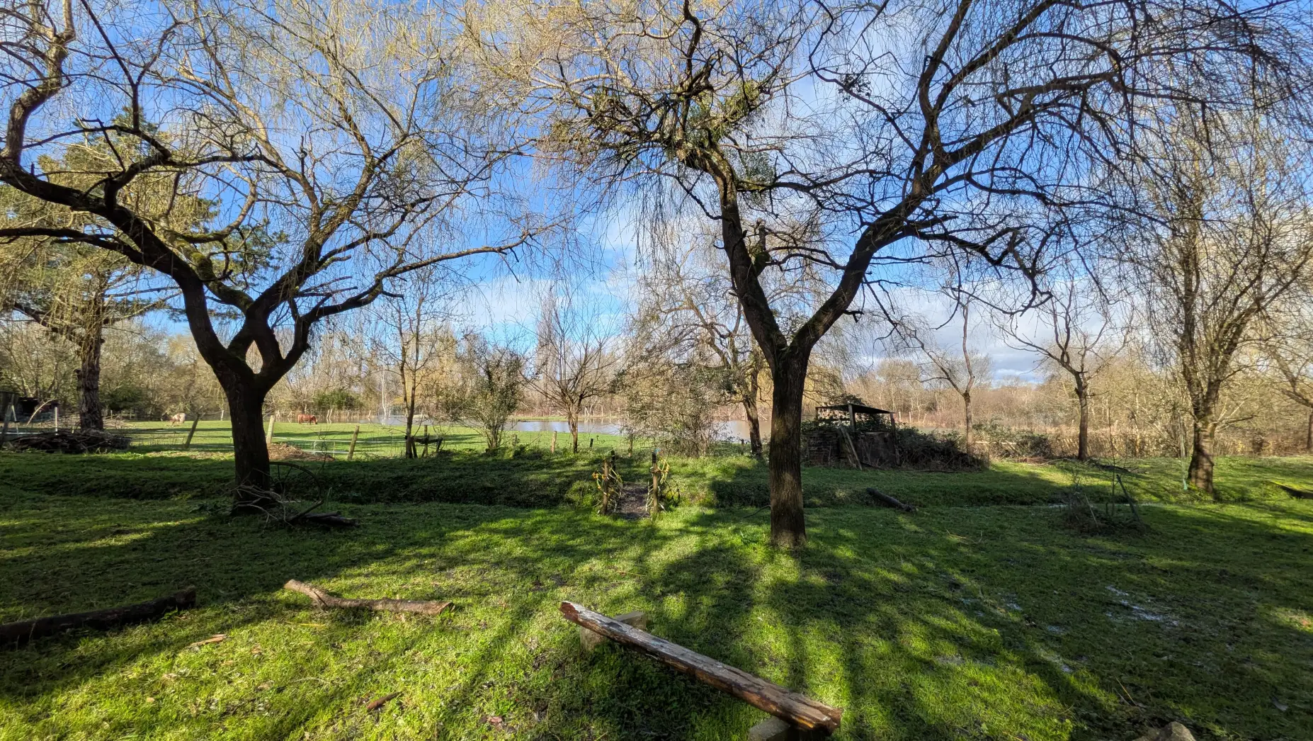 A l'orée des marais #8
