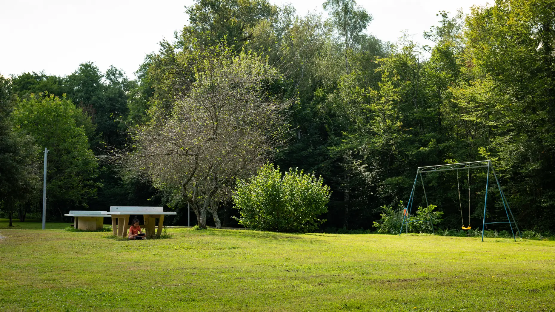 Camping Le Petit Bois #12