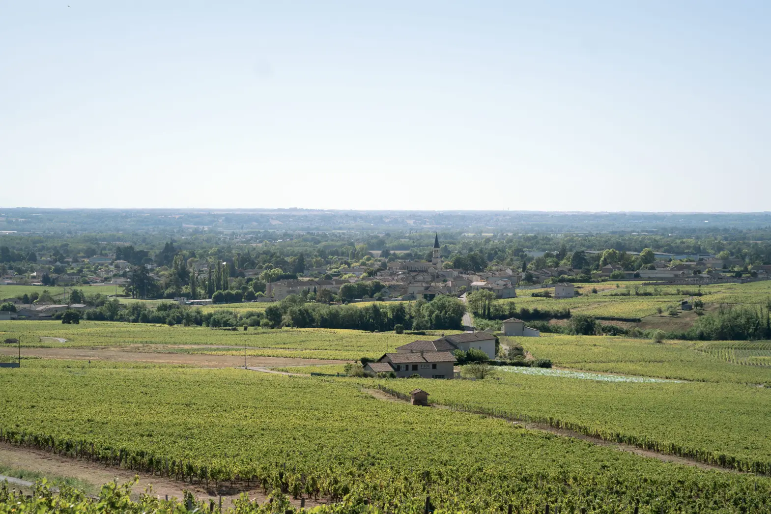 Le Moulin à Vent #5