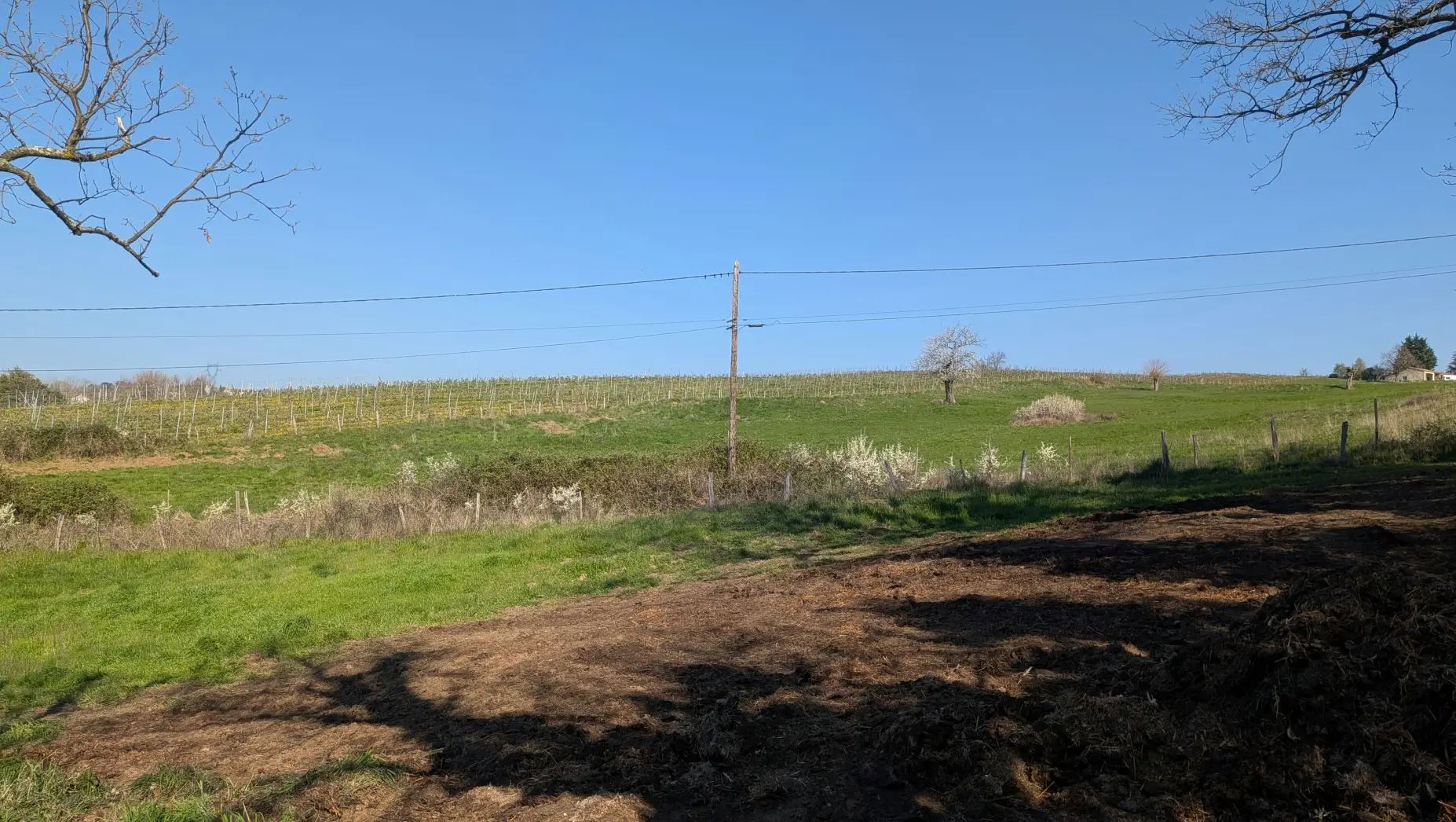 La Clairière des Terres de Beauvoir
