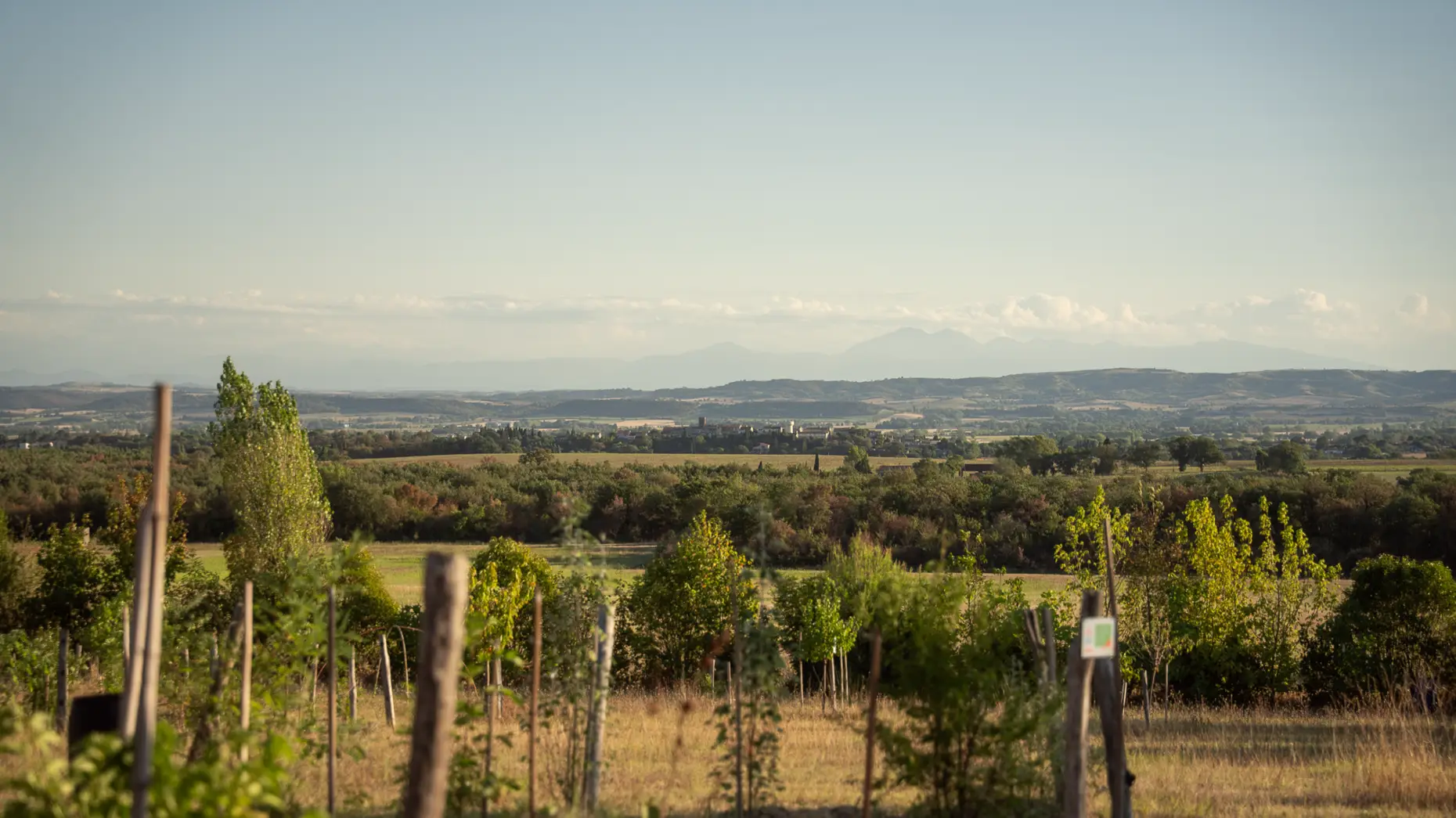 Falga - La Terrasse des Pyrénées