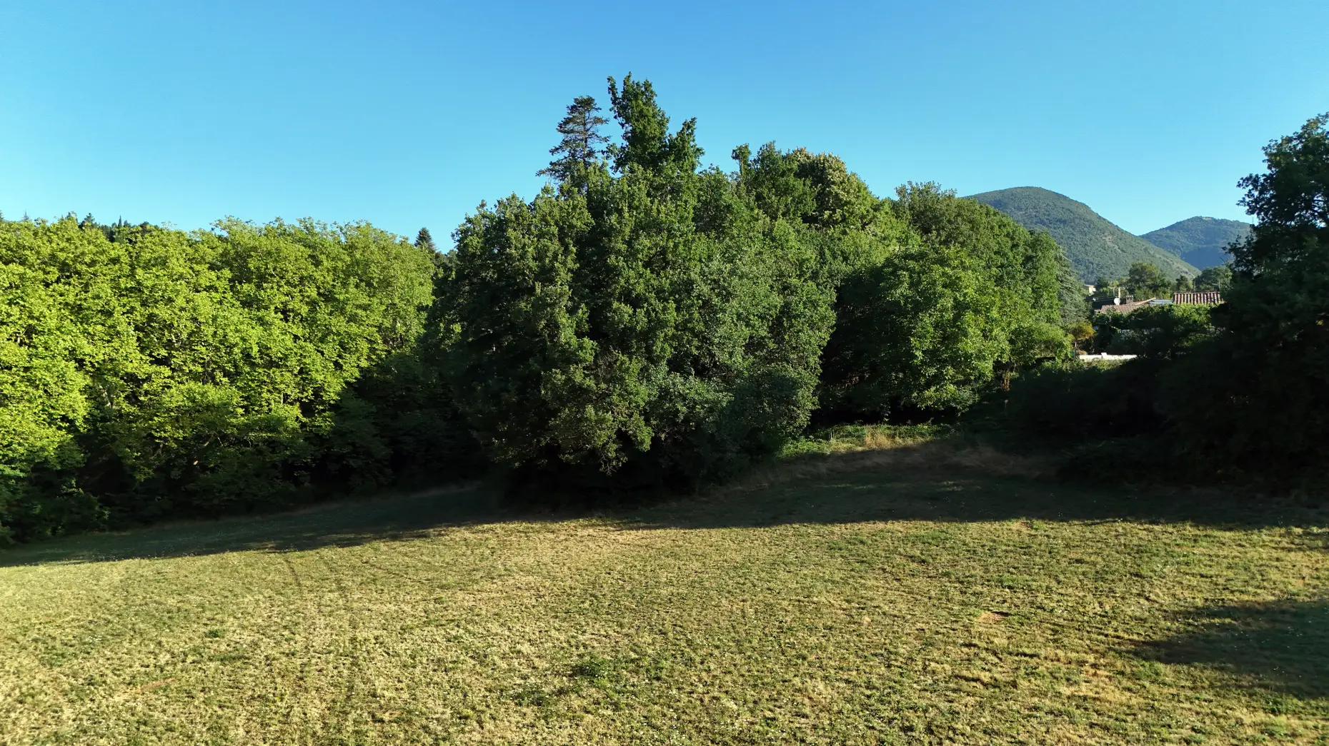 Le grand pré #4