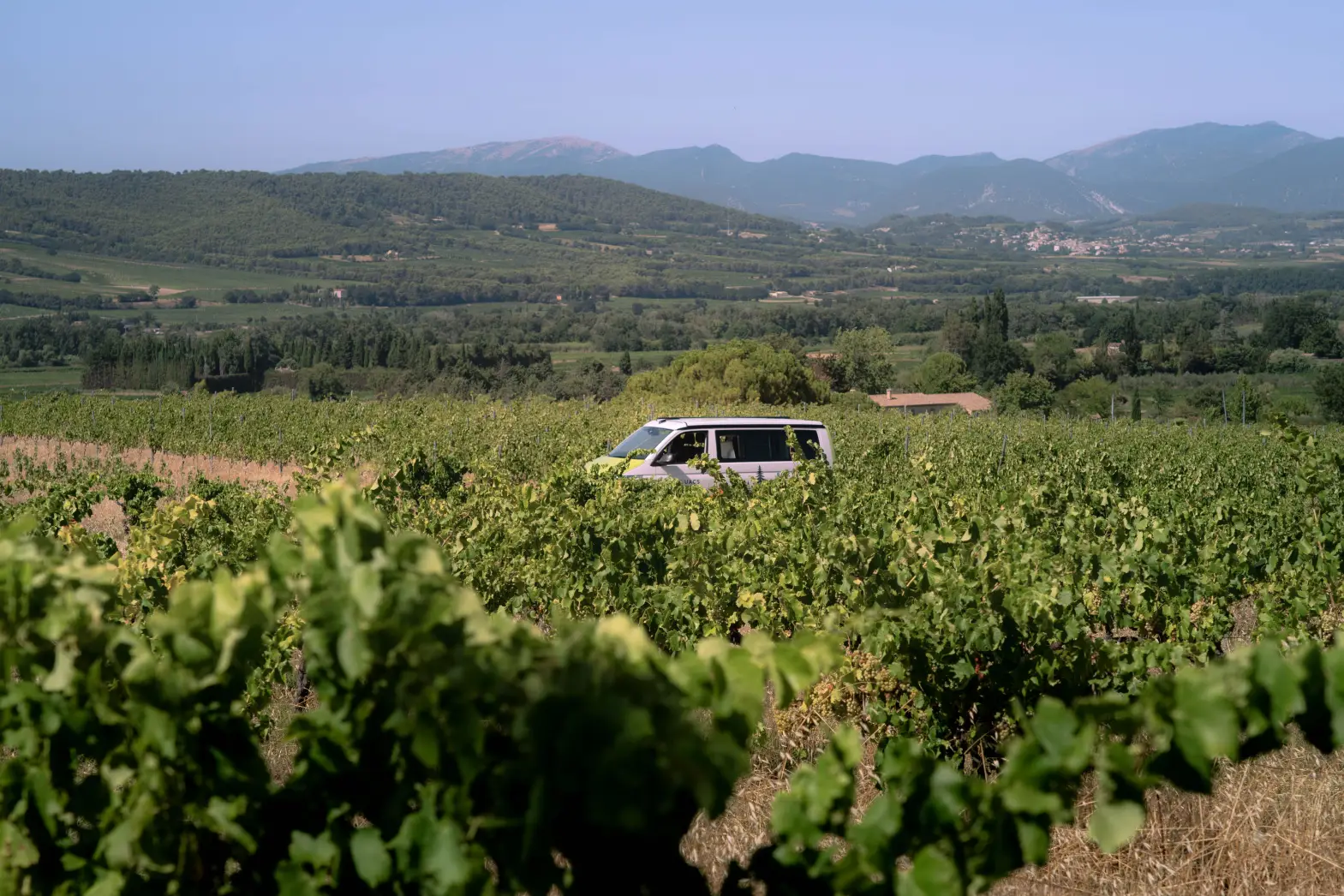 Le domaine du mas des Escarades