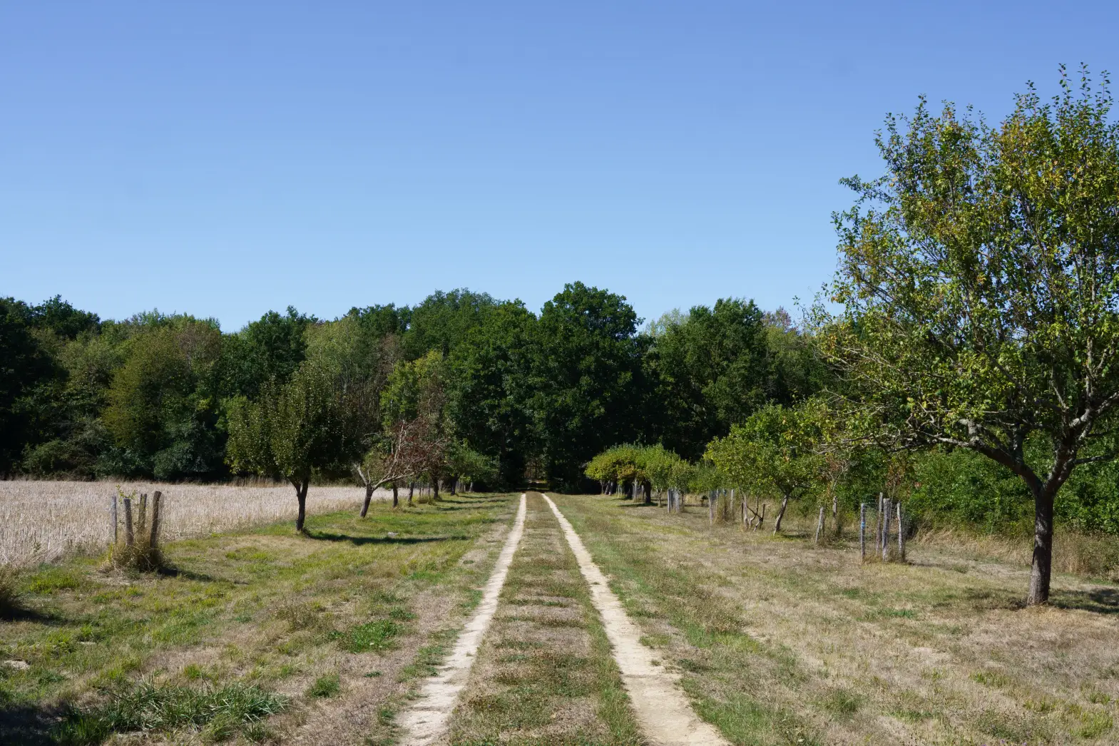 Le Long de la Chêneraie