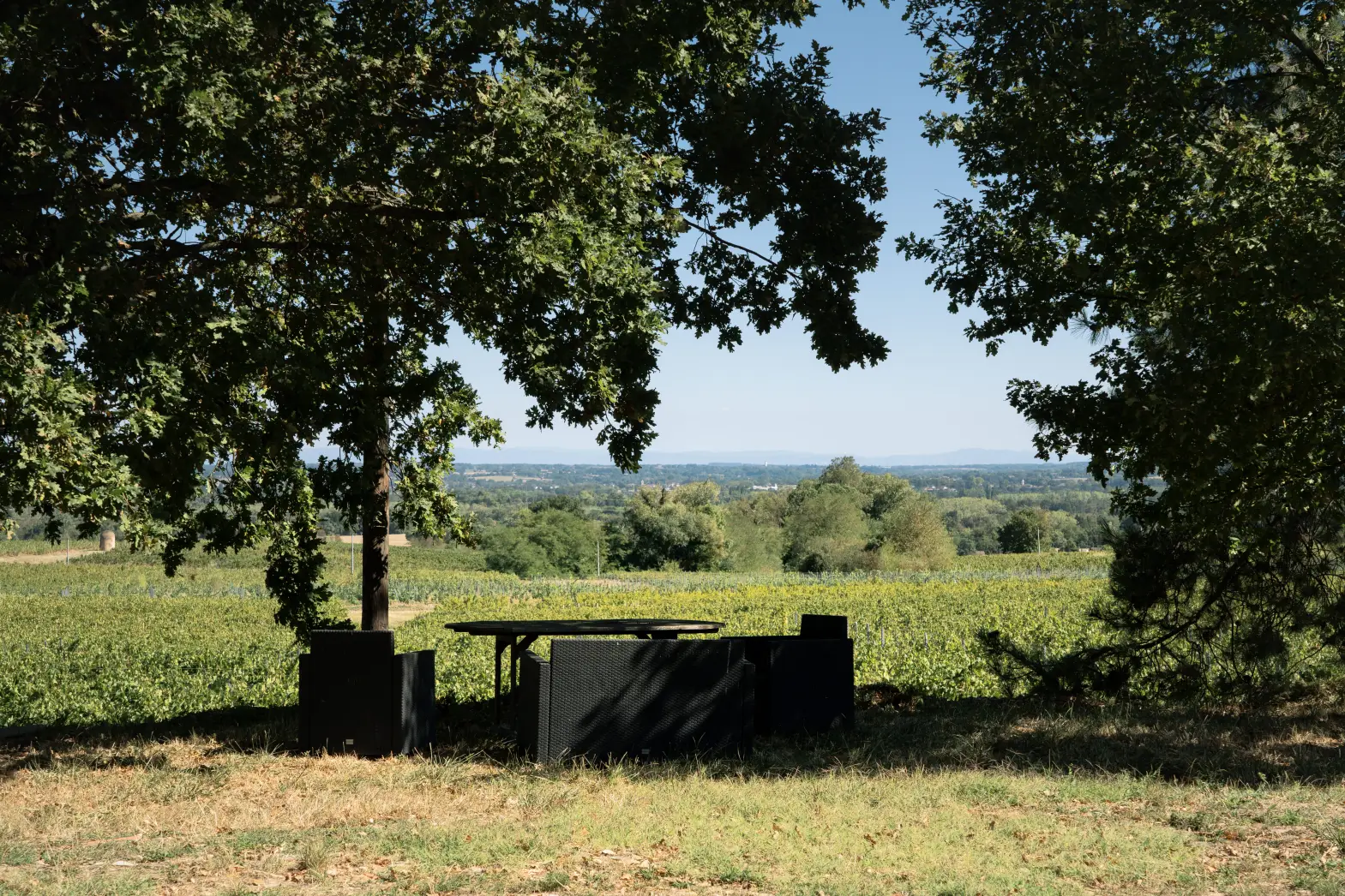 Le Moulin à Vent #7