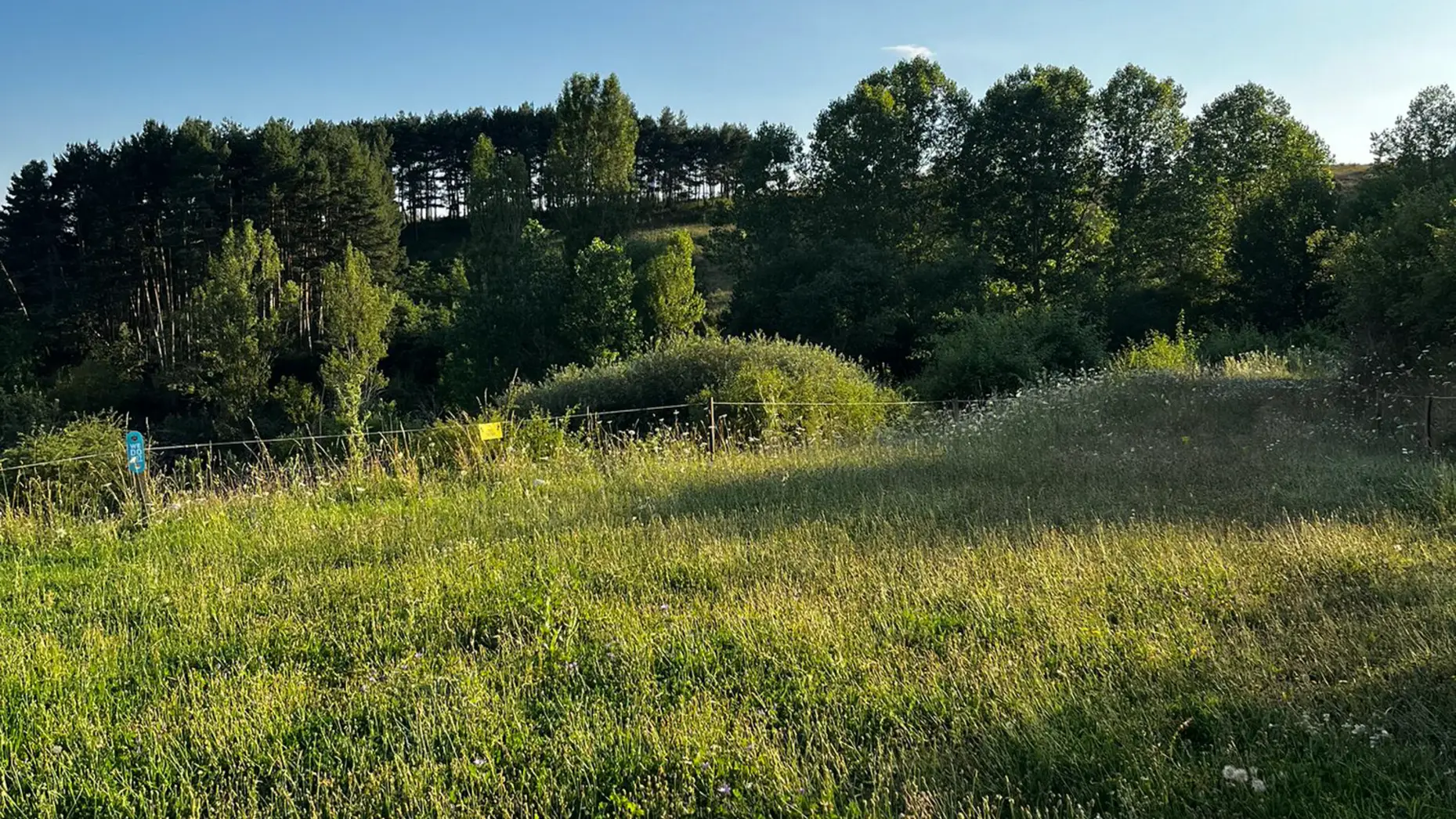 Campo Santo