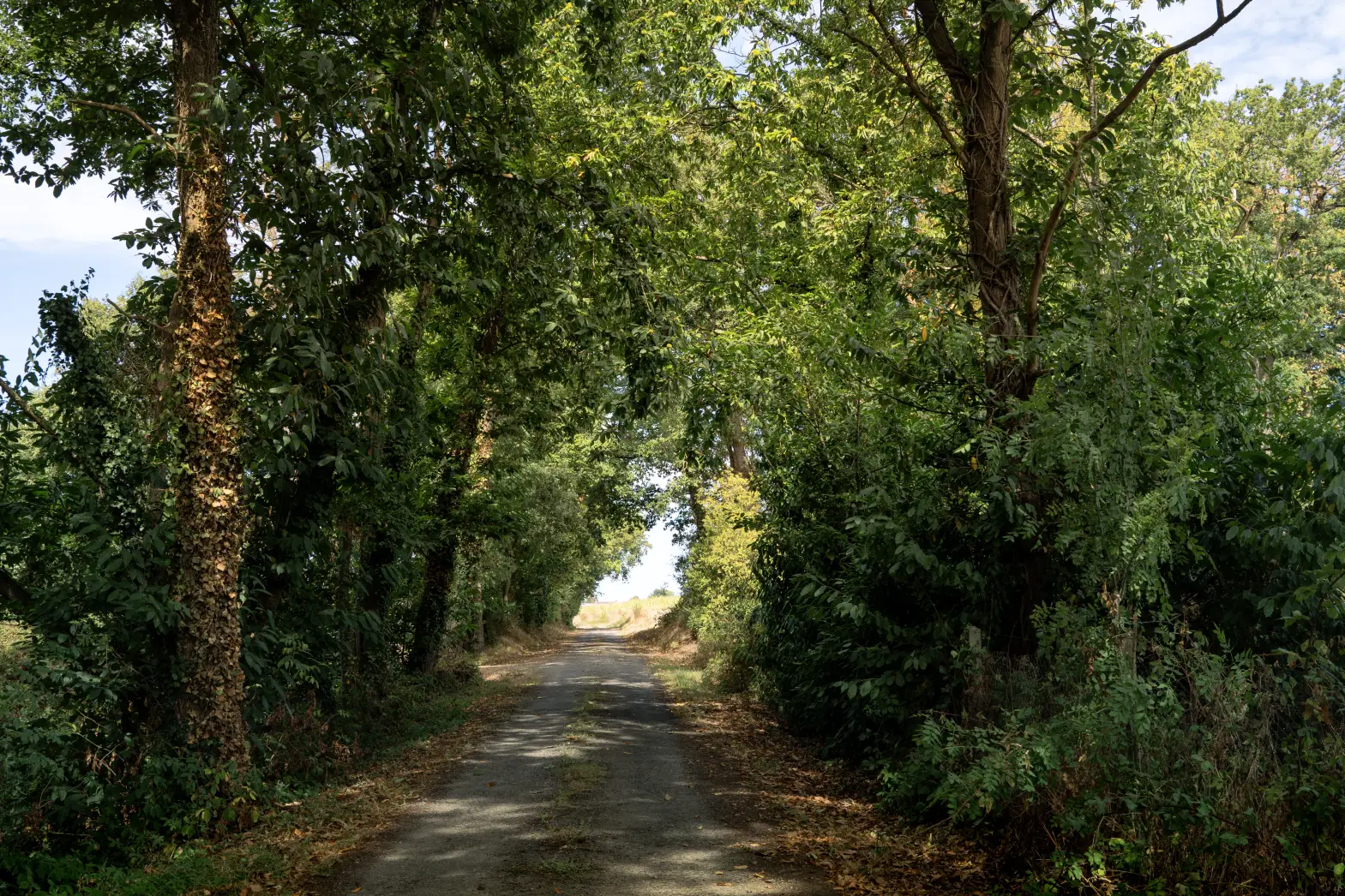 Le ptit domaine