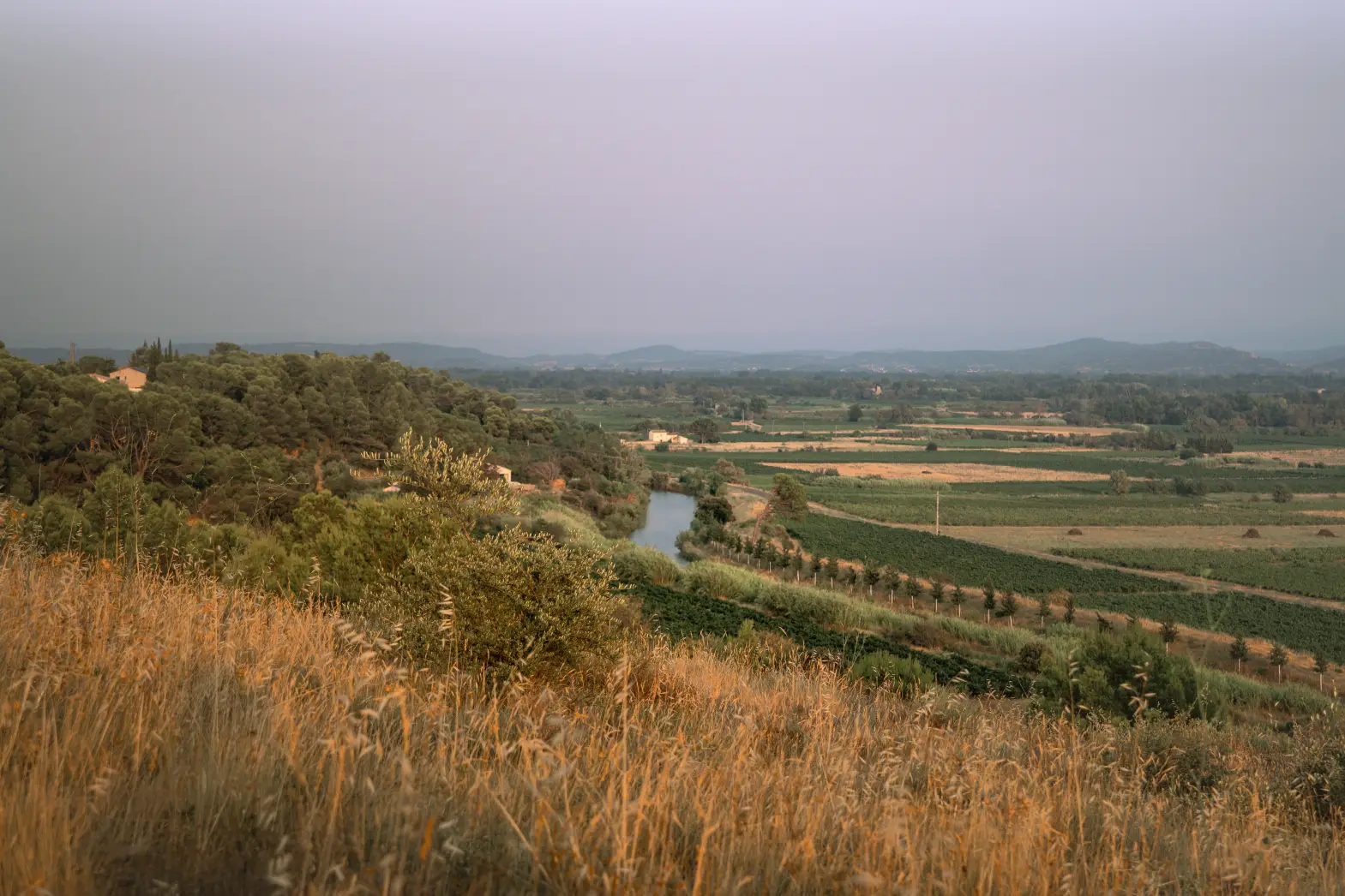 La Vigie du Minervois