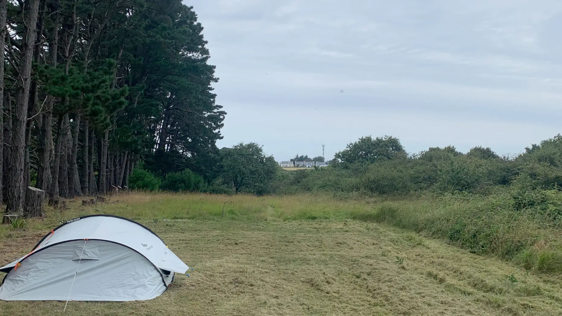 Le champ de Belle Île
