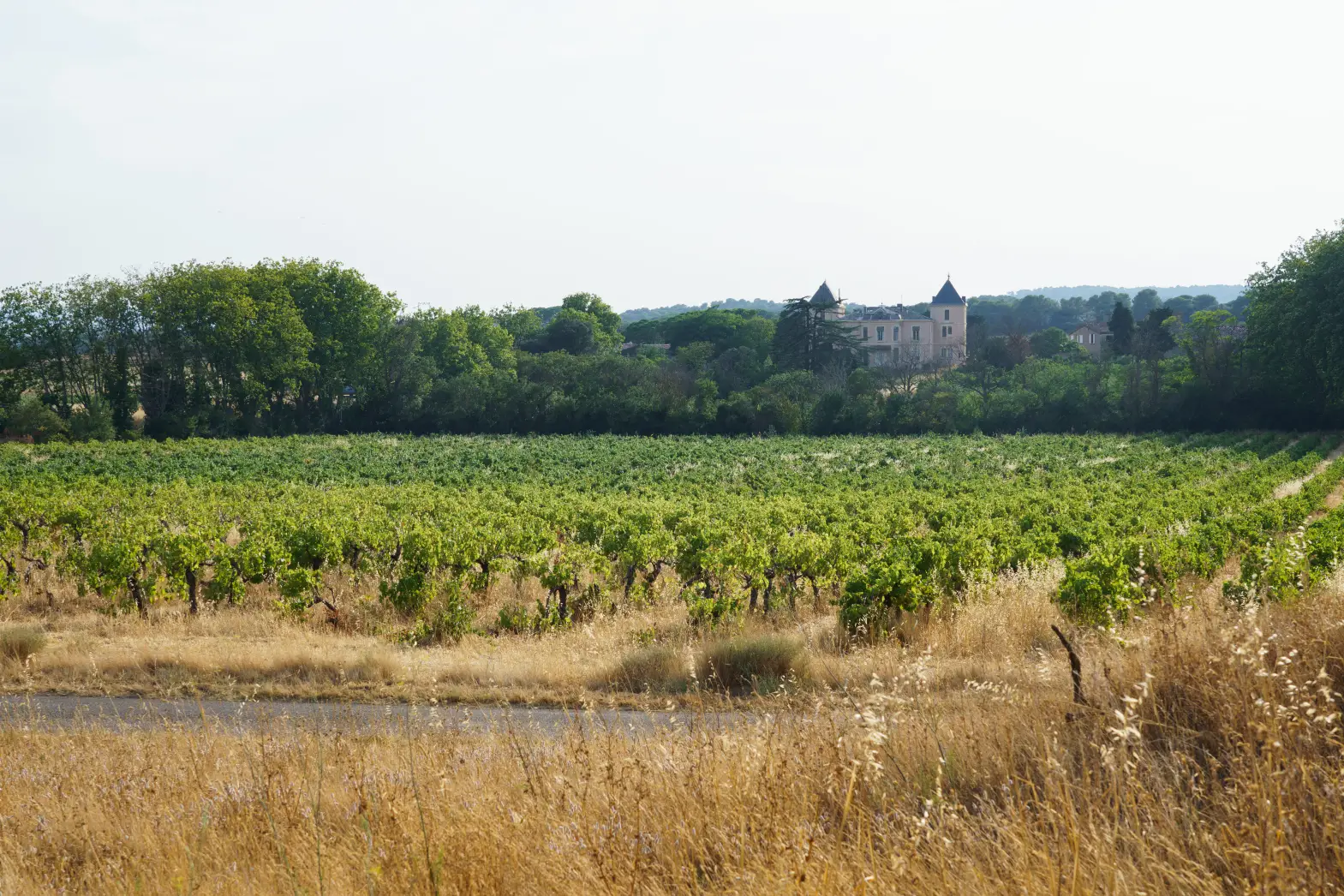 Chateau Bonhomme