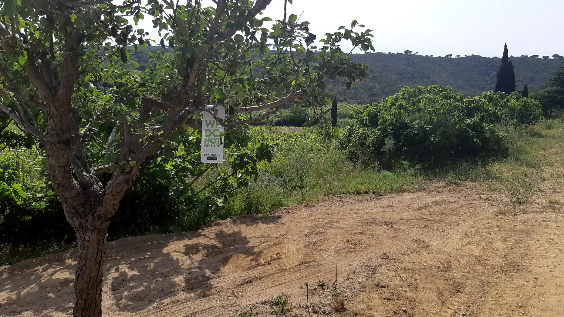 Domaine de la Tourraque