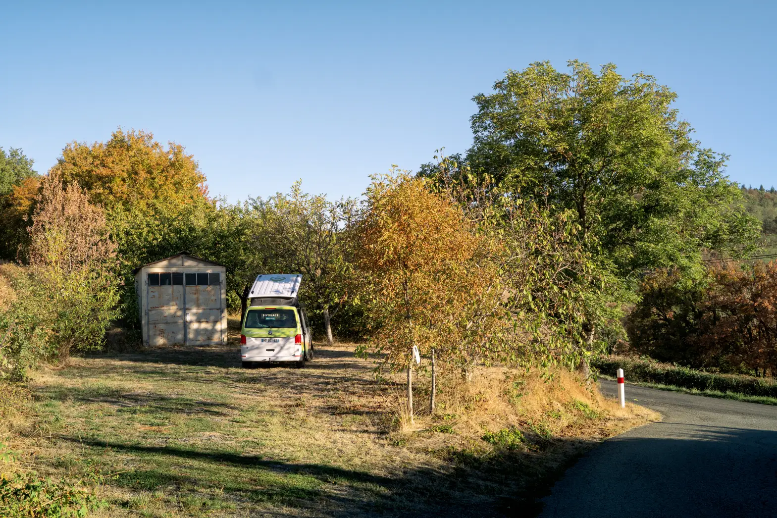 Un clou dans la vigne