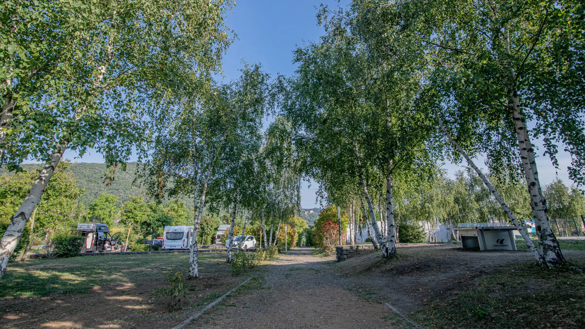 Camping Pierre et Sources #11