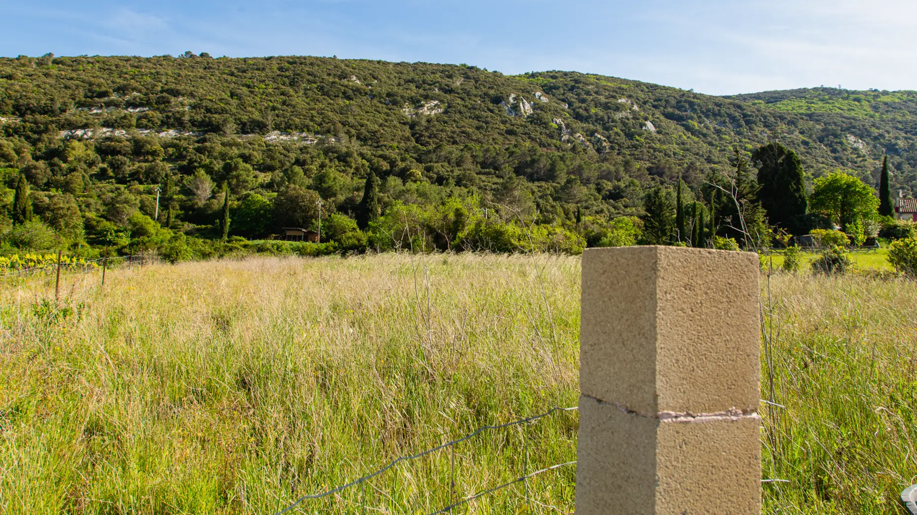 Font de Roque #4
