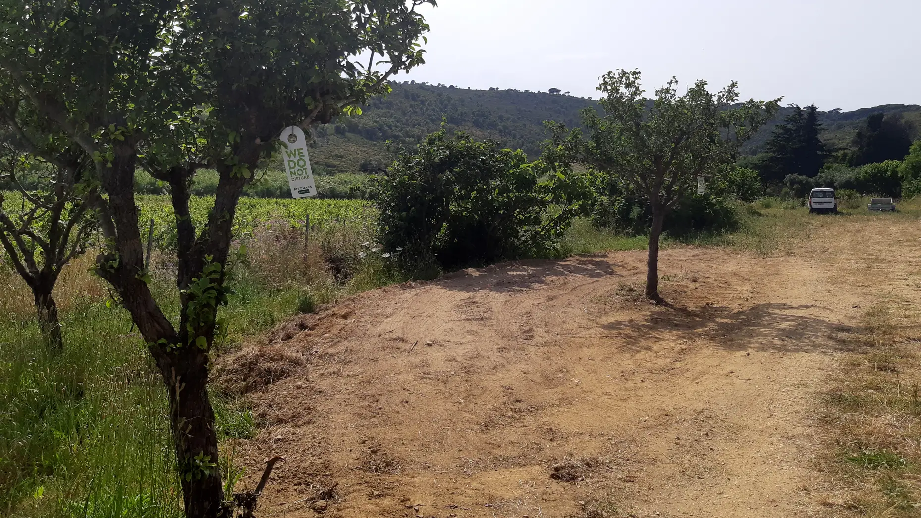 Domaine de la Tourraque #4