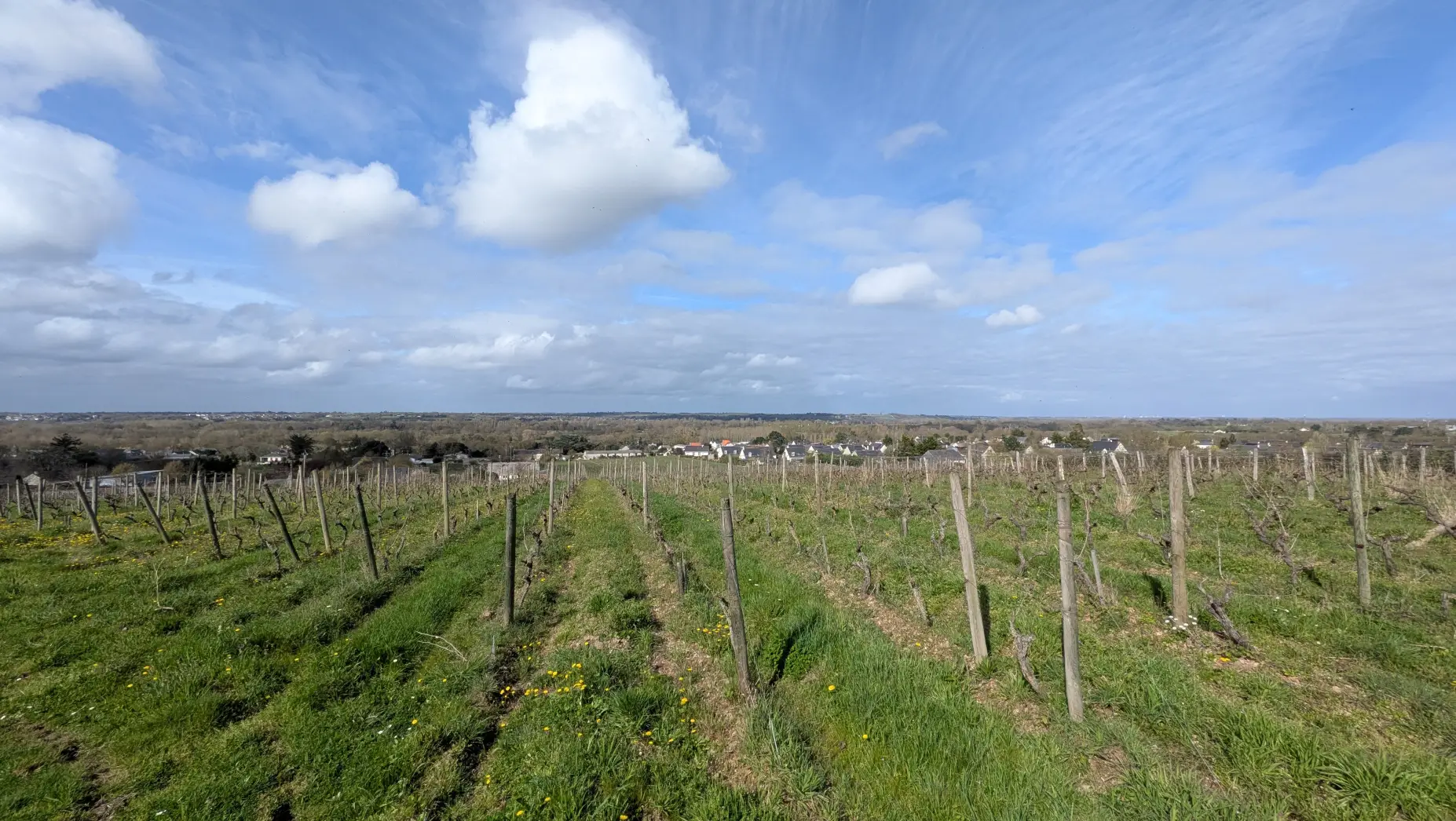 Domaine de la Motte #4