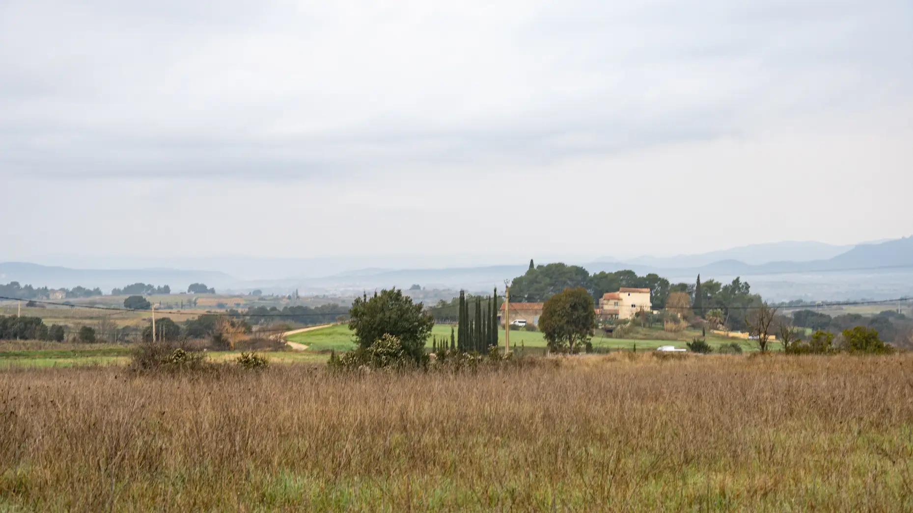 La vue du champ #4