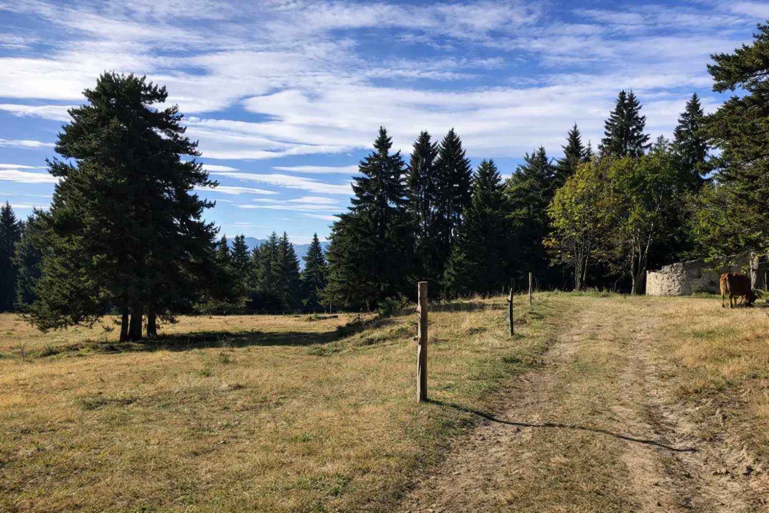 La prairie de Peïra Cava
