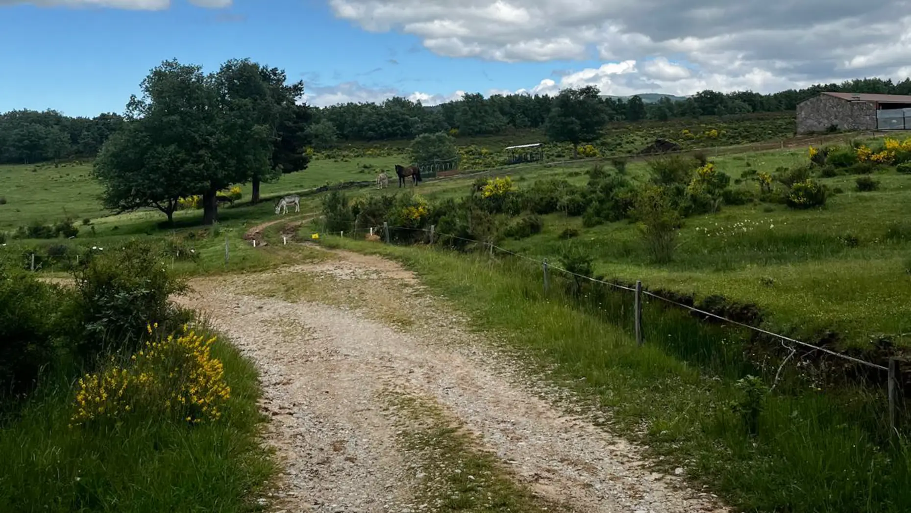 El Pilon de los Corrales #5