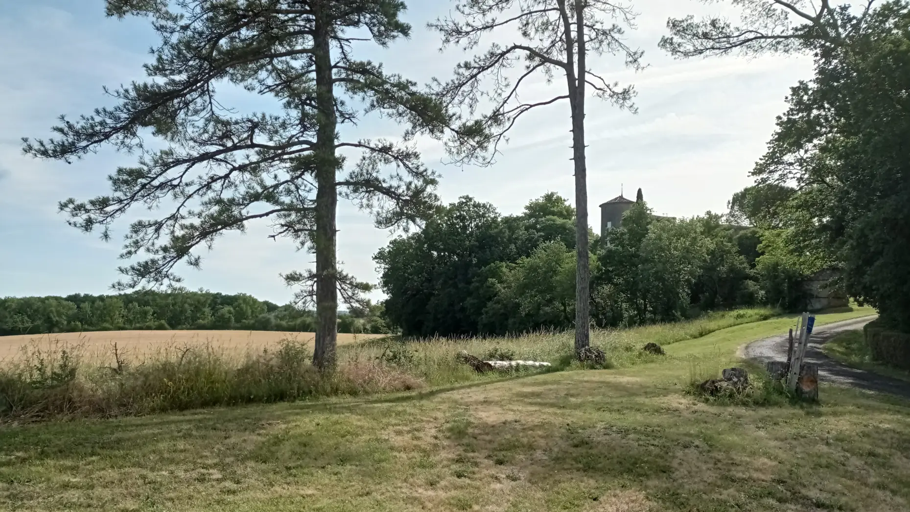 Le Pigeonnier du château #4