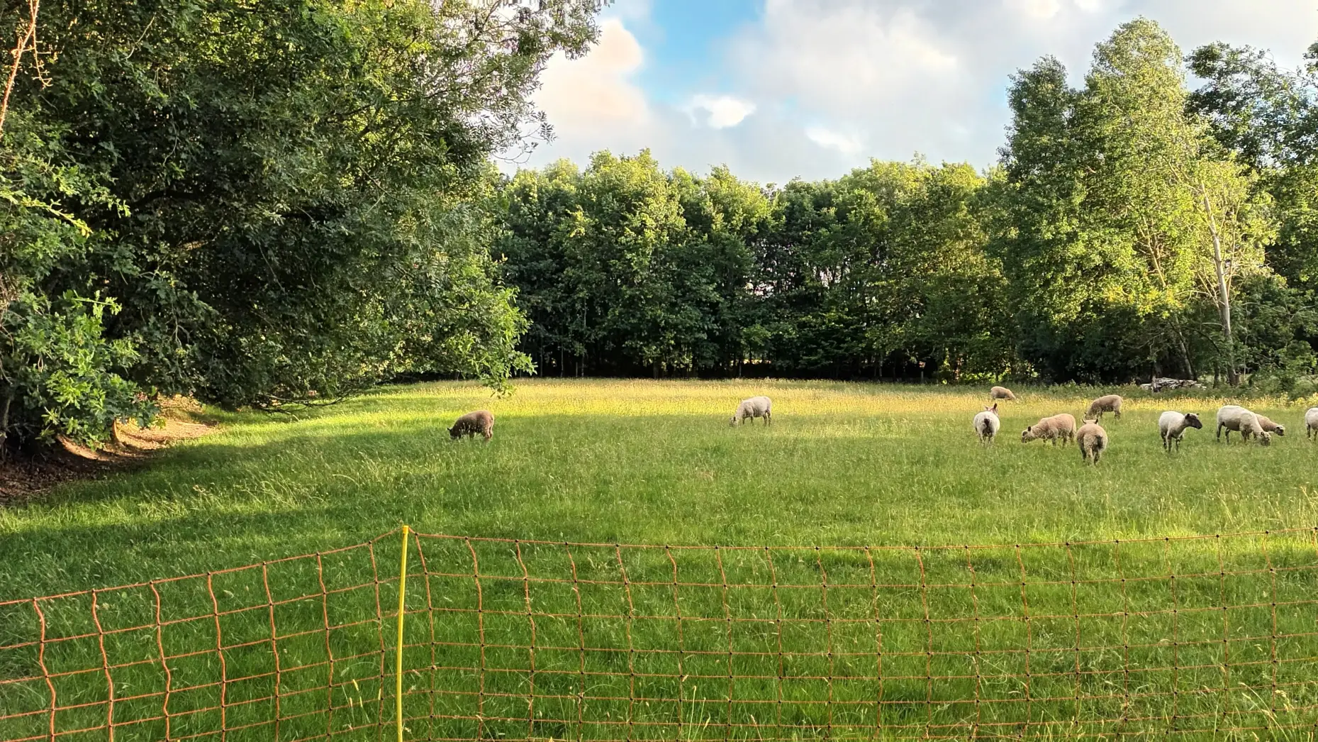 Le Pré aux Moutons