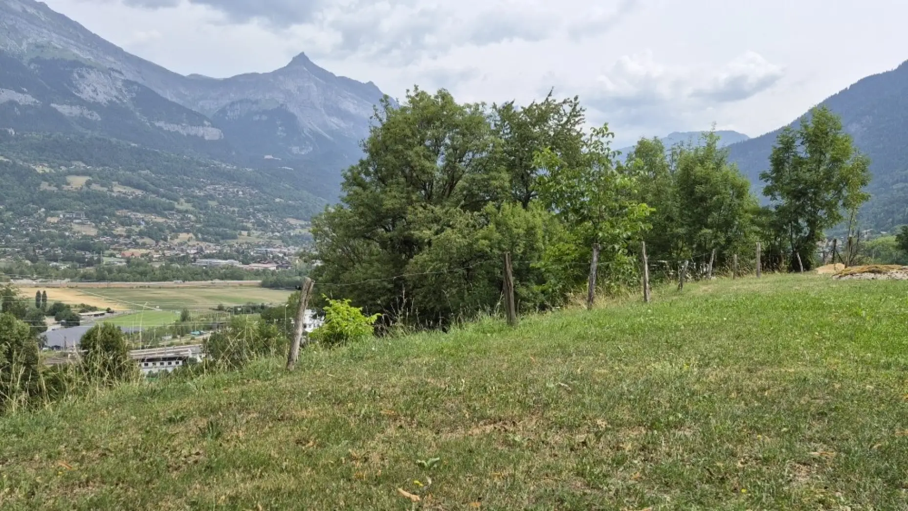 Le Nid des Alpes