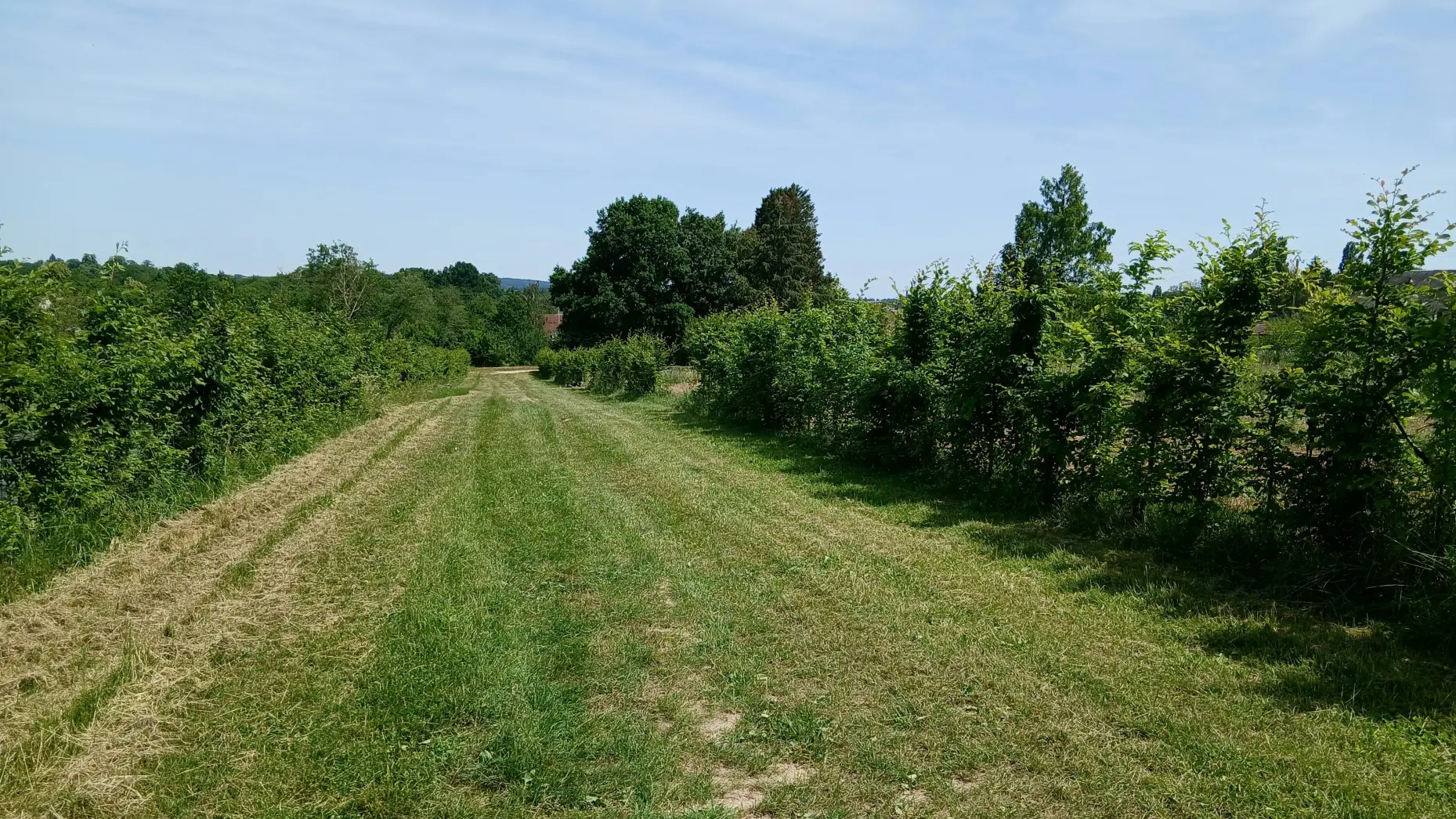 Le Potager de Saint-Martin