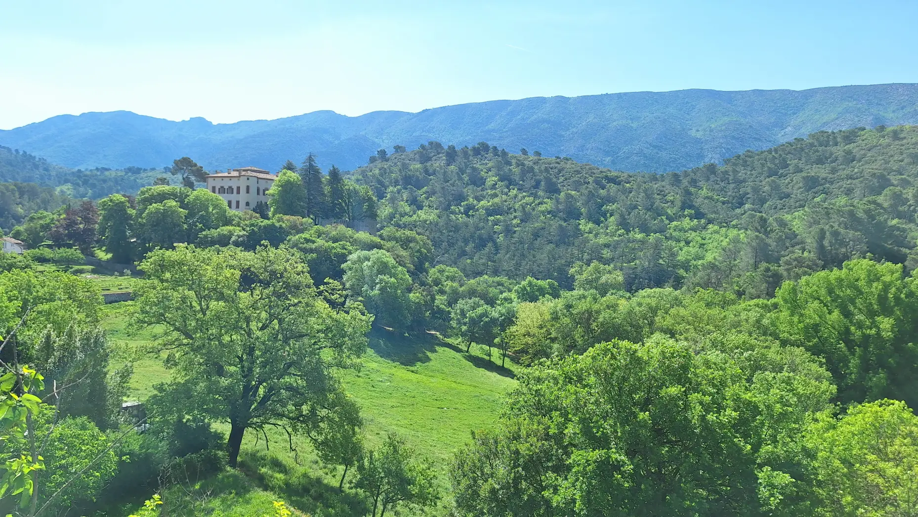 La pinède de Saint Antonin #5