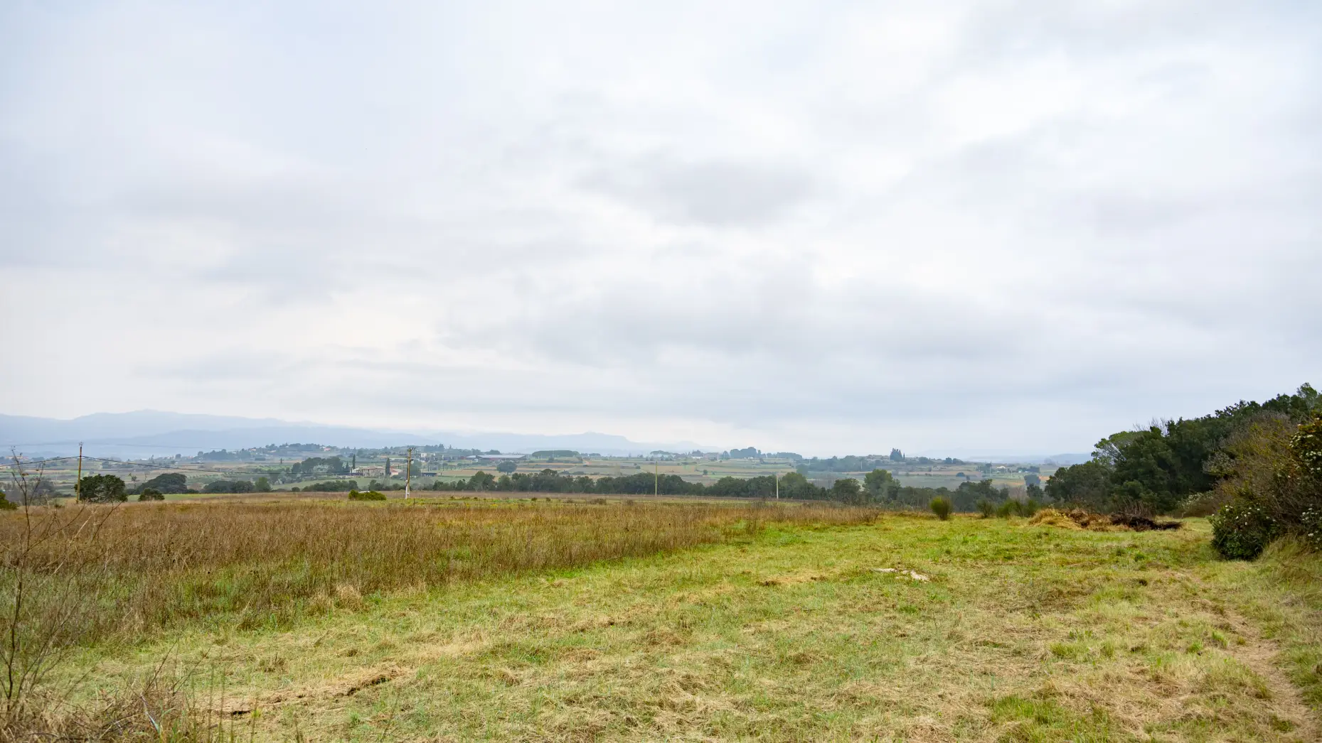 La vue du champ