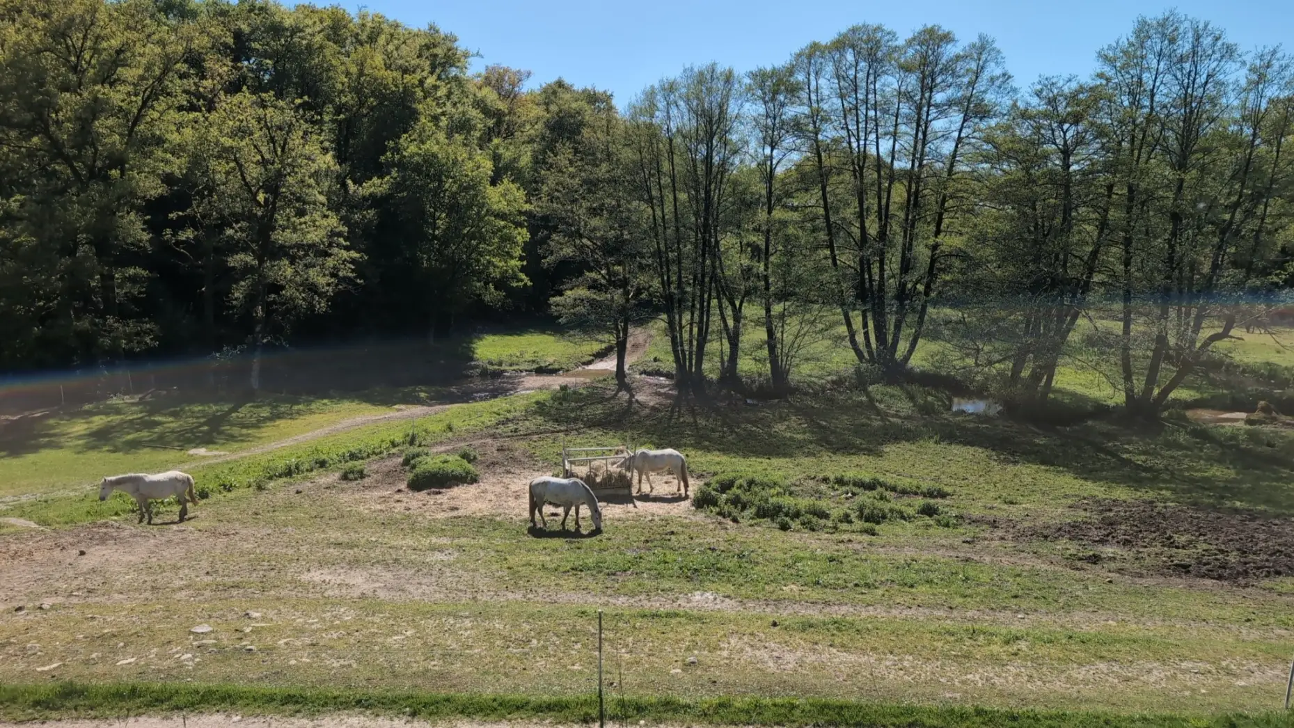 Le Pré du Ritord #4