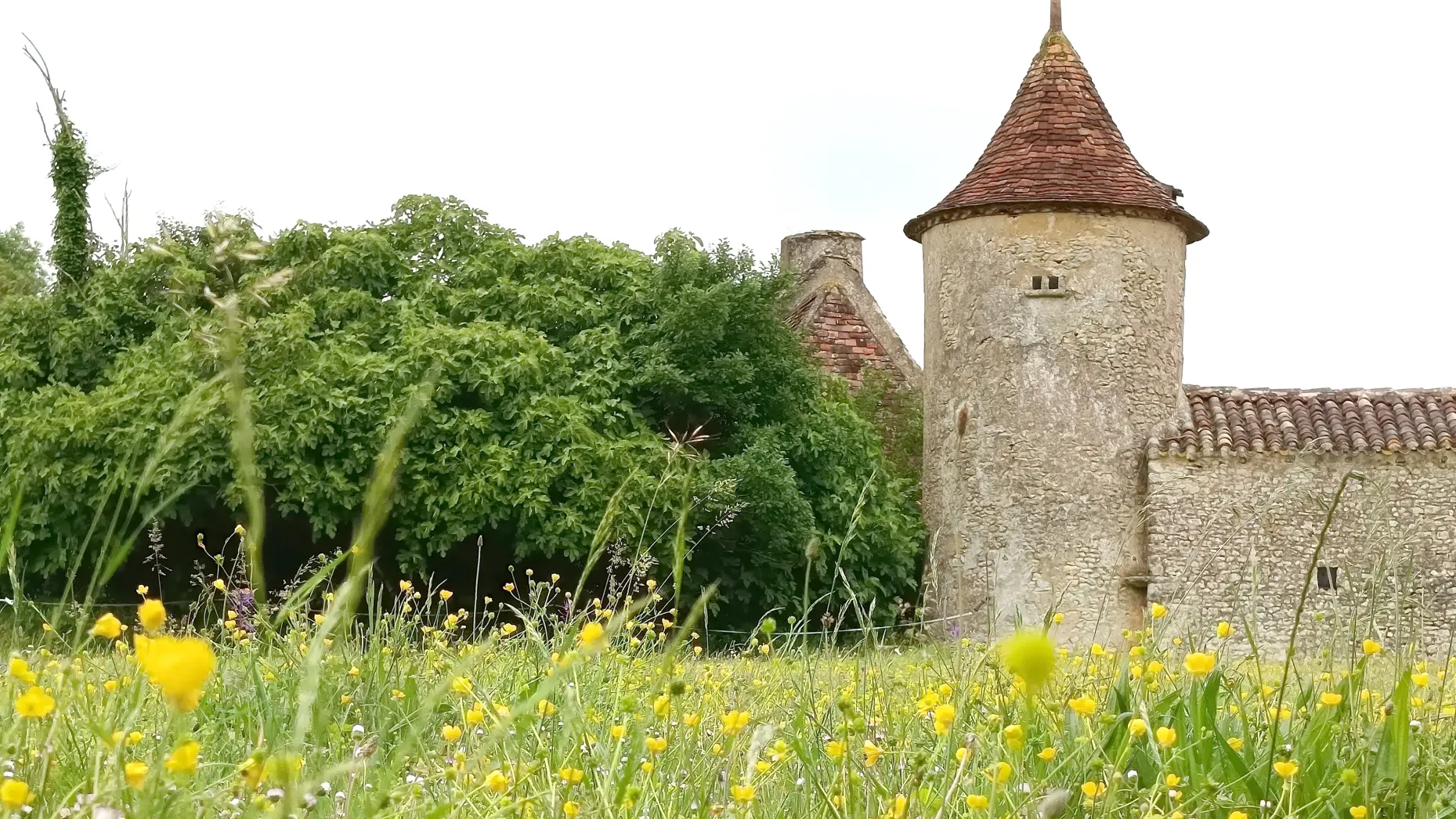 Le pigeonnier