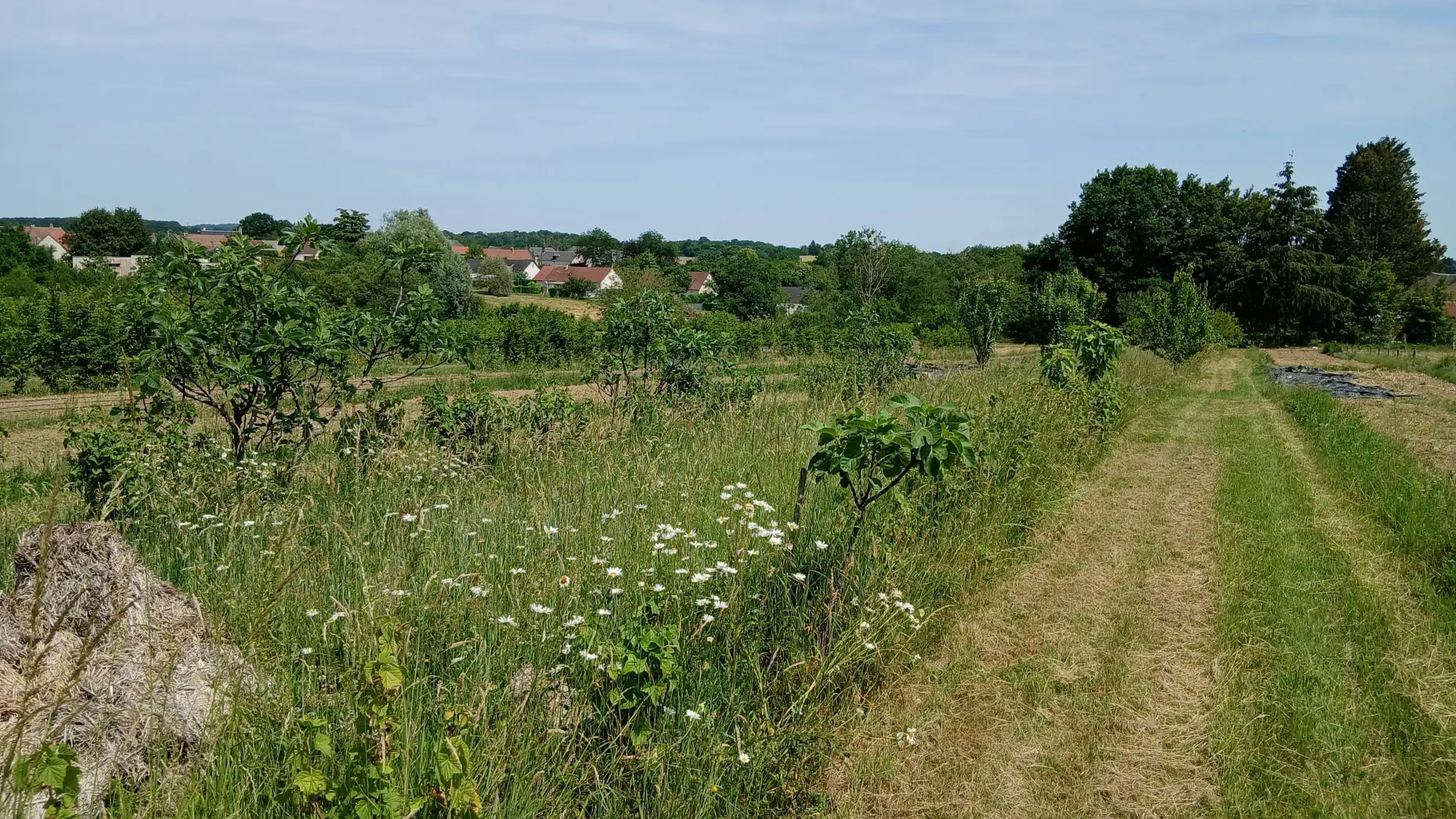 Le Potager de Saint-Martin