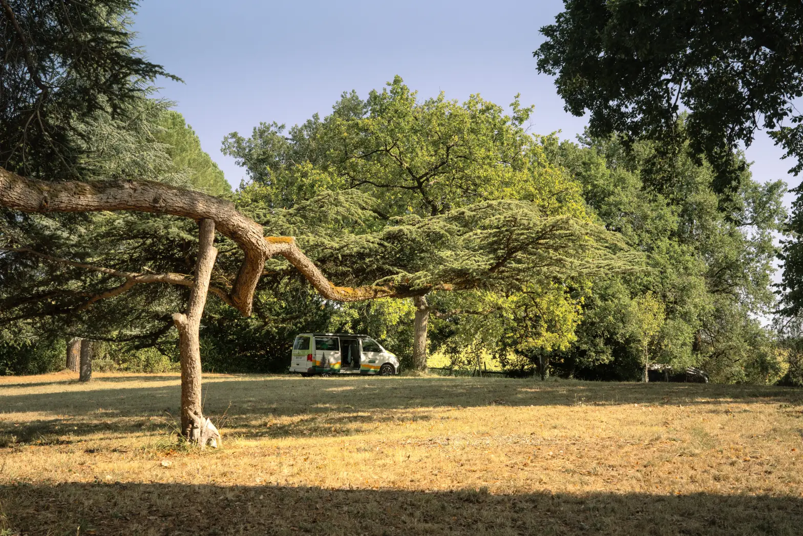 Le Bois du Château #4