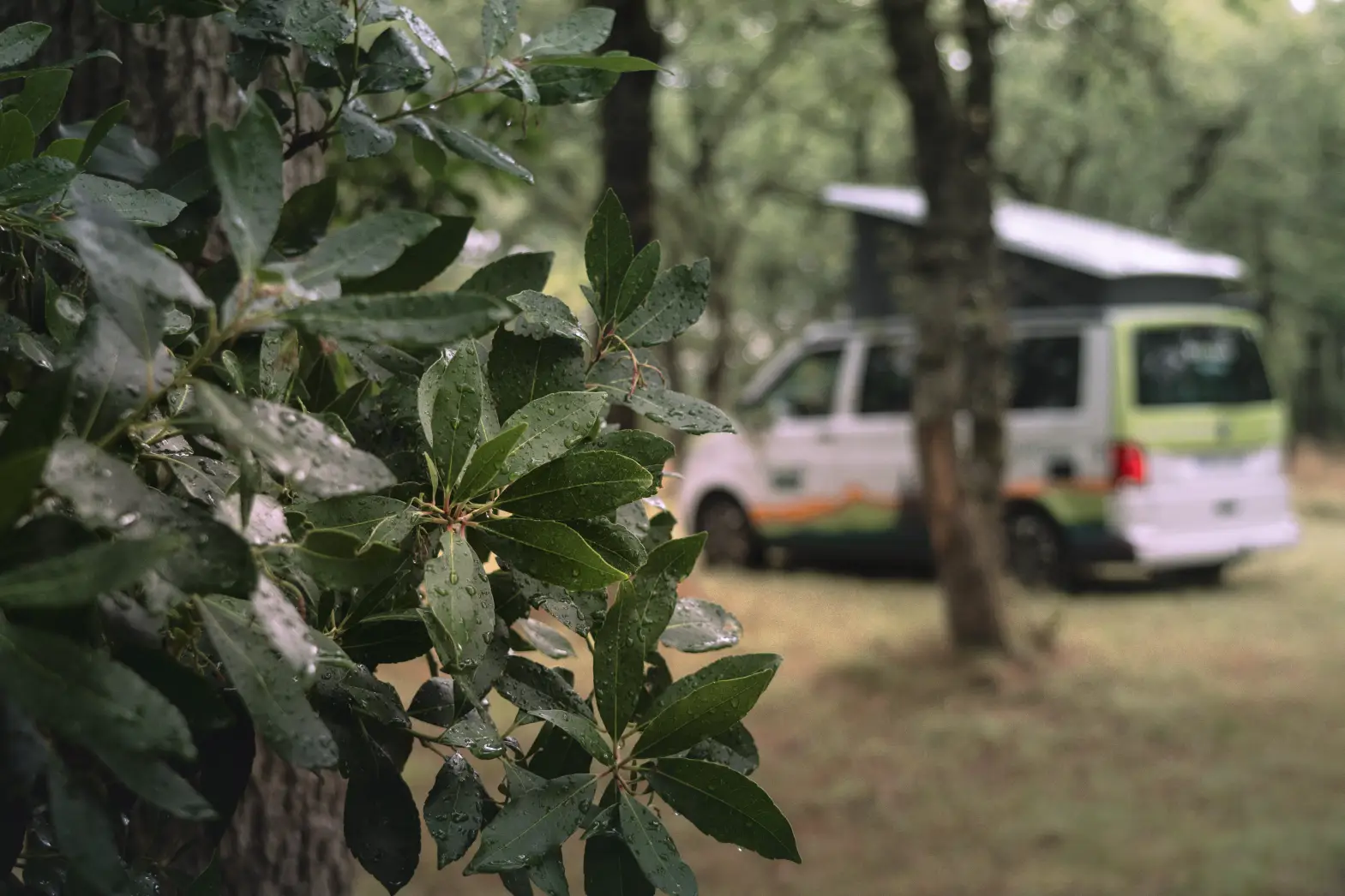Le Refuge des Bois