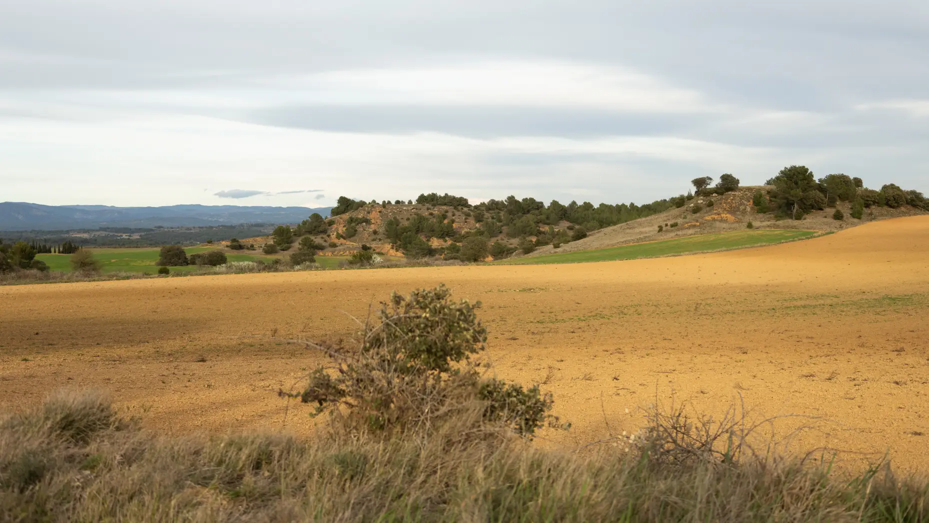 Domaine de Borie Neuve