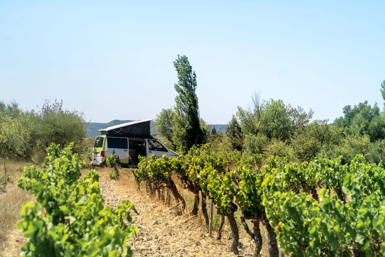 Domaine des romarins #6
