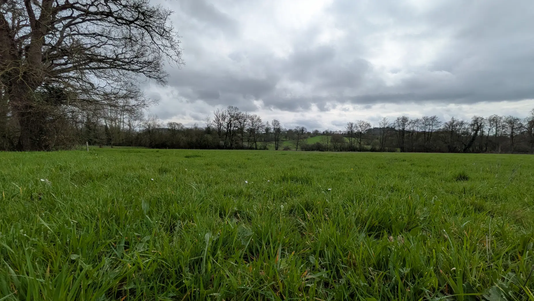 Le Pré Sauvage
