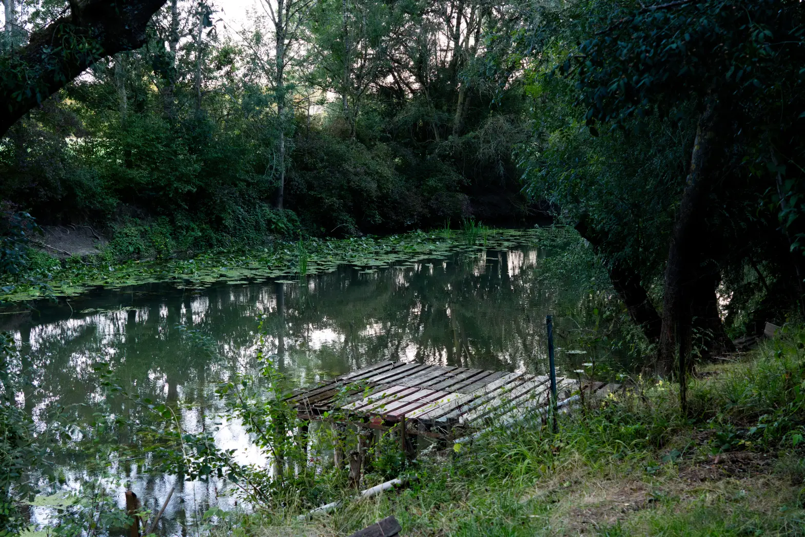Le Jardin du bord de l'eau #4
