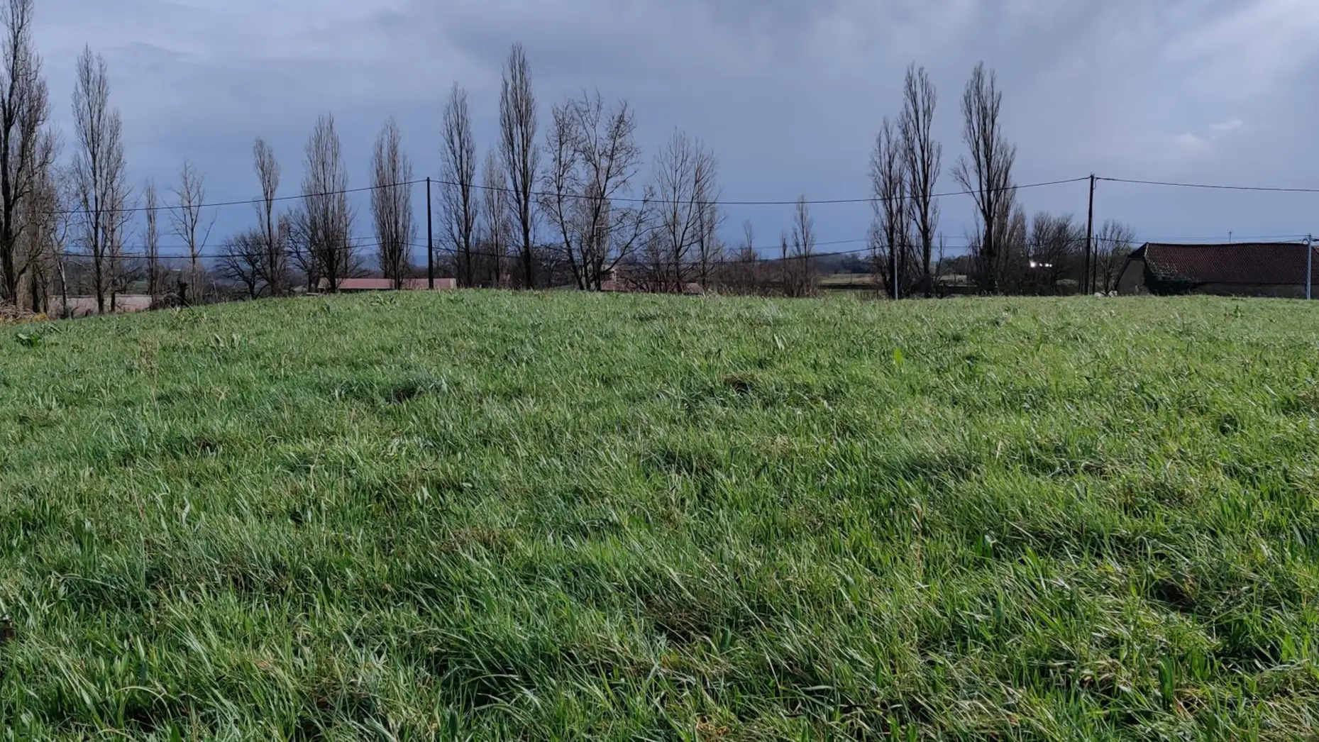 Entre moutons et vignes