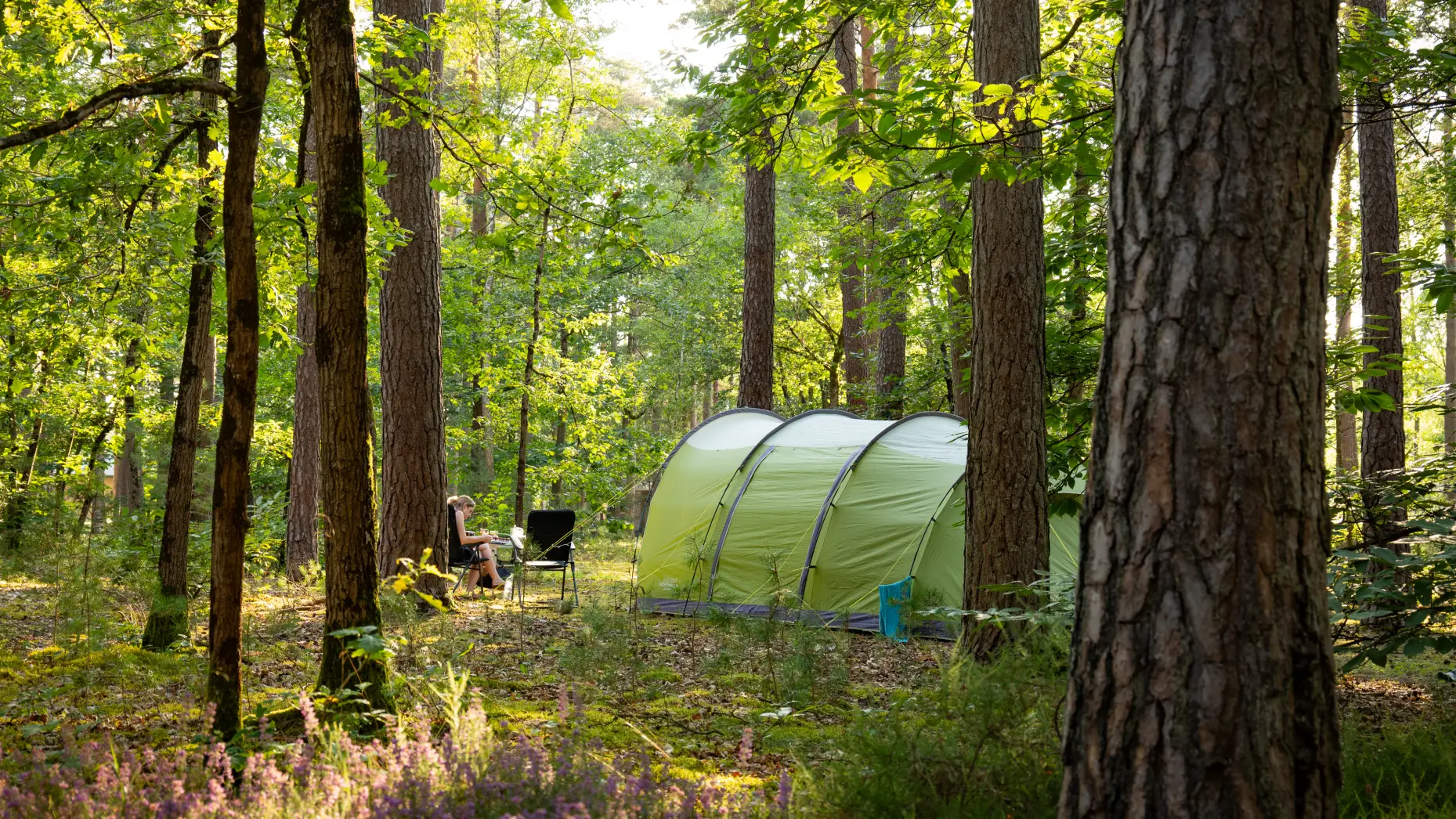 Camping Les Pins #11